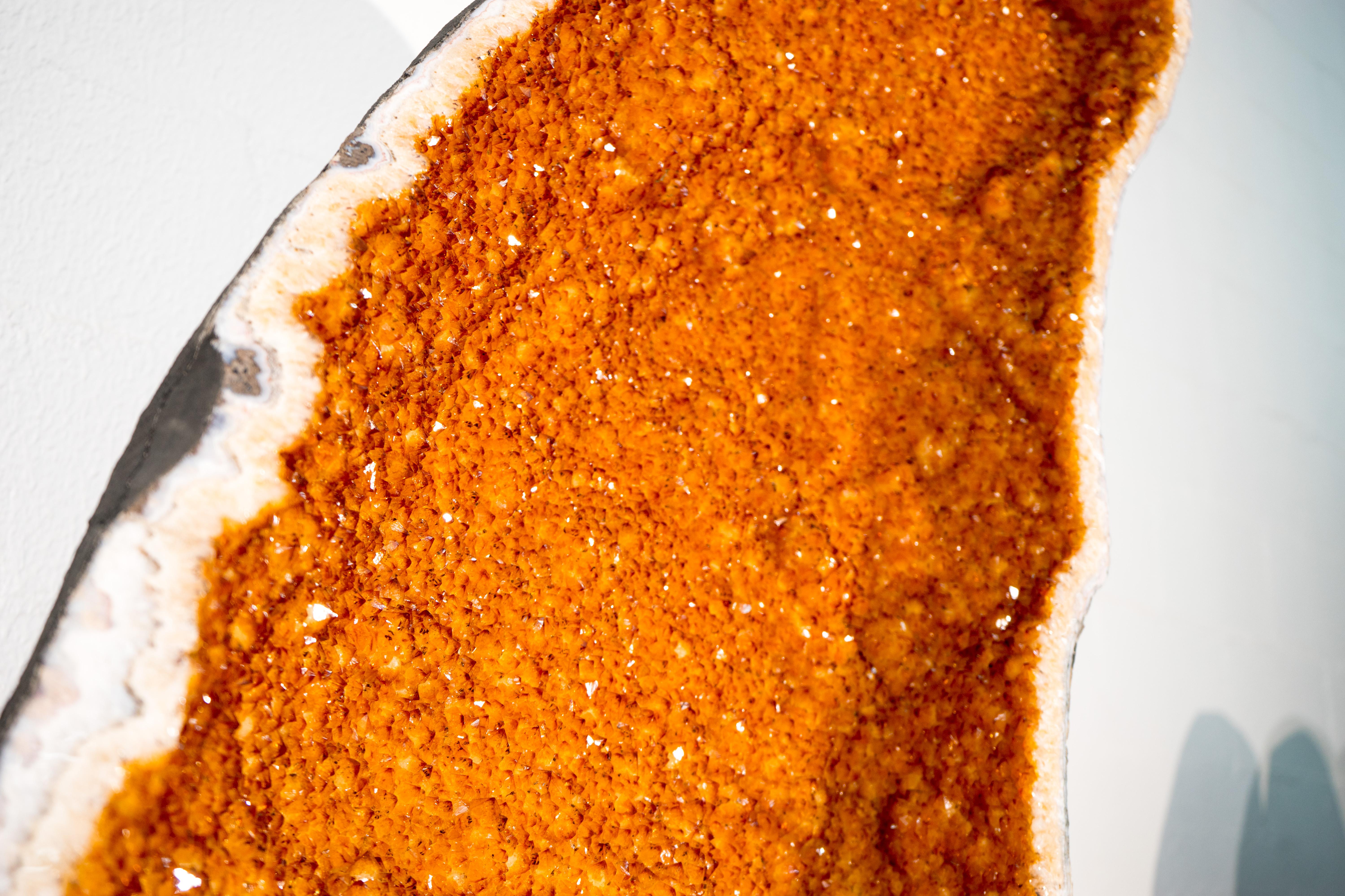 Alas gigantes de geoda de citrino dorado de 7,6 pies - Pareja de calidad de museo, obra maestra natural en venta 1