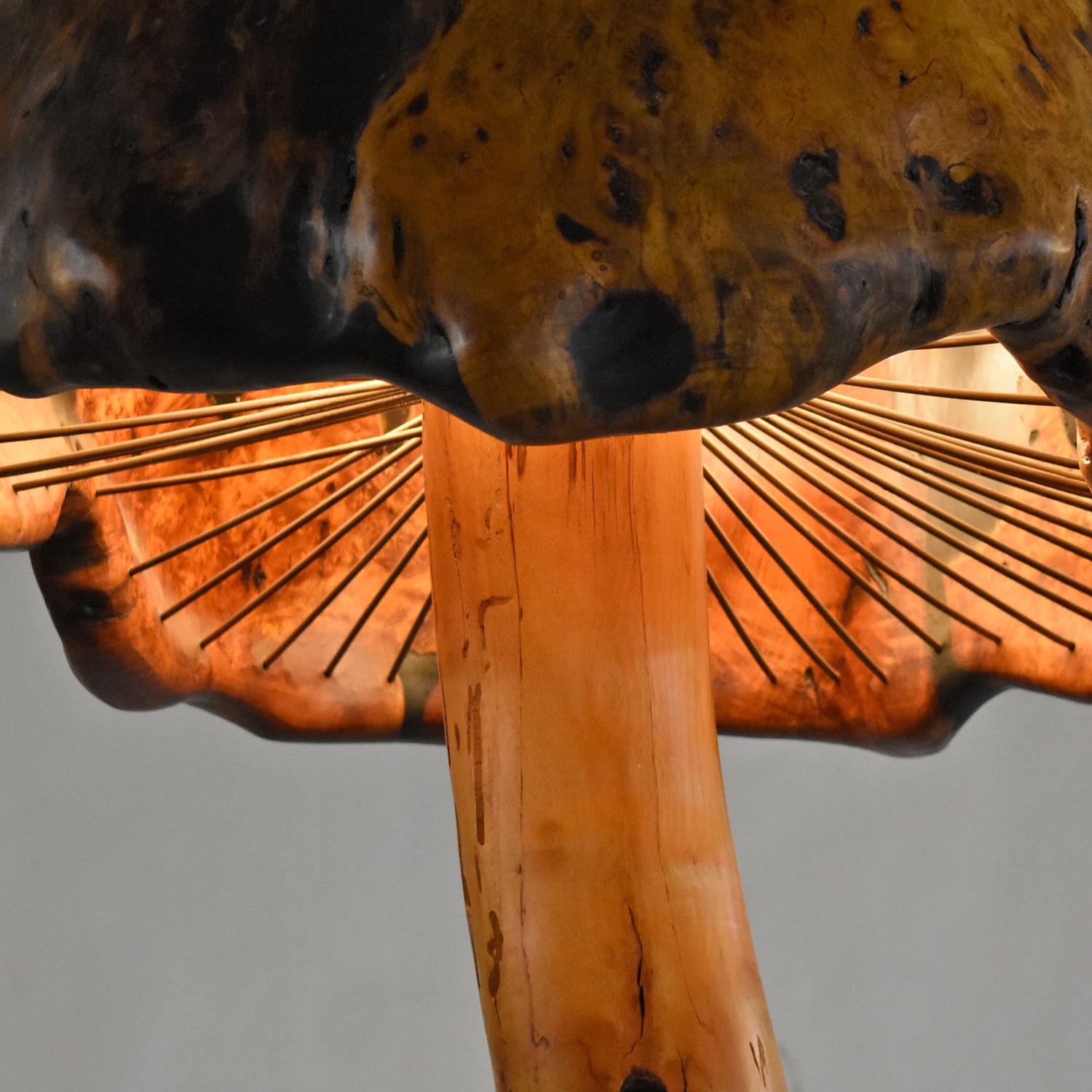 Cypress Giant 8-Foot Tall Tree Trunk Mushroom Floor Lamp with Burl Knot Wood Shade