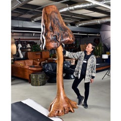 Lampada da terra a fungo con tronco d'albero gigante alto 8 piedi e paralume in legno di radica