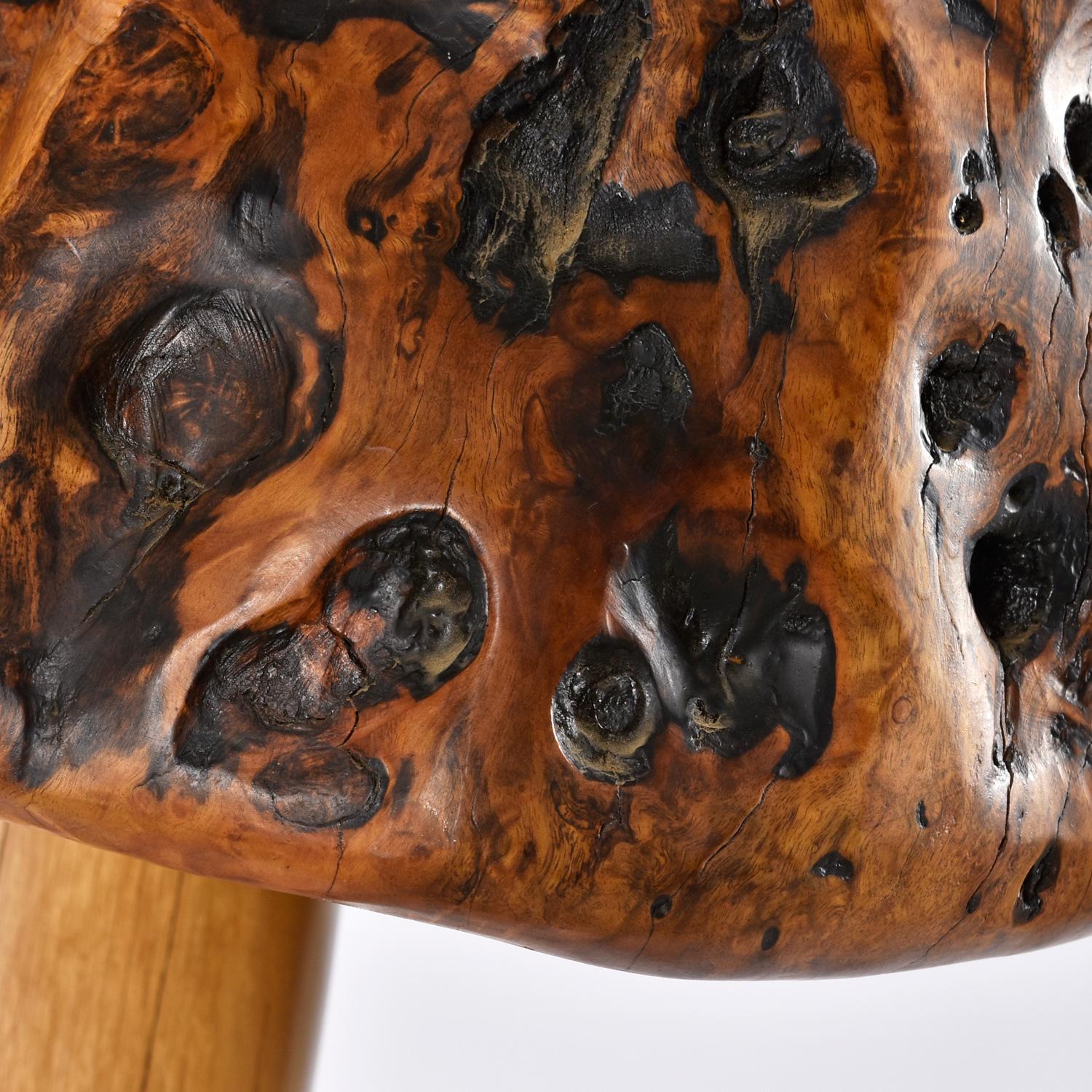 Giant 8-Foot Tall Tree Trunk Mushroom Floor Lamp with Burl Knot Wood Shade 3