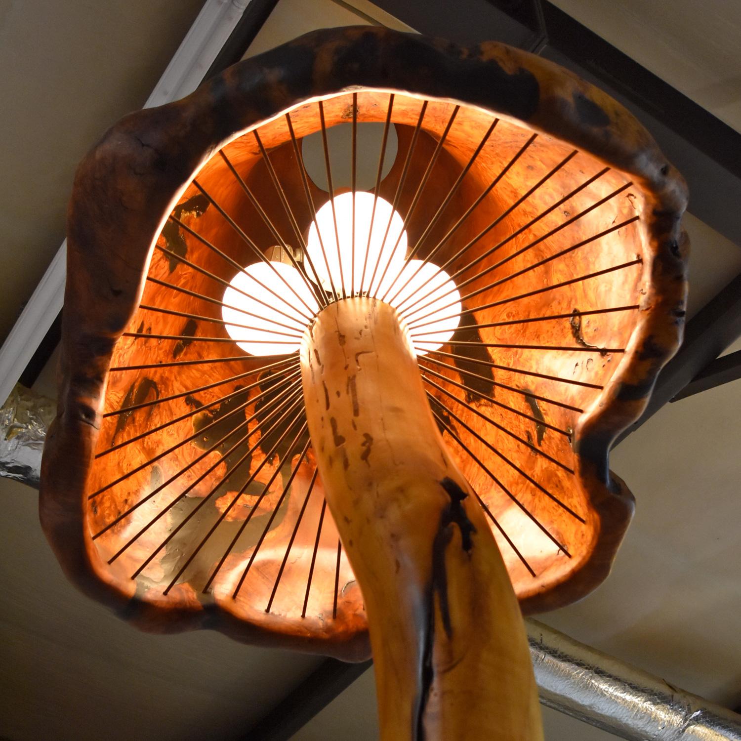 Giant 8-Foot Tall Tree Trunk Mushroom Floor Lamp with Burl Knot Wood Shade In Excellent Condition In Chattanooga, TN