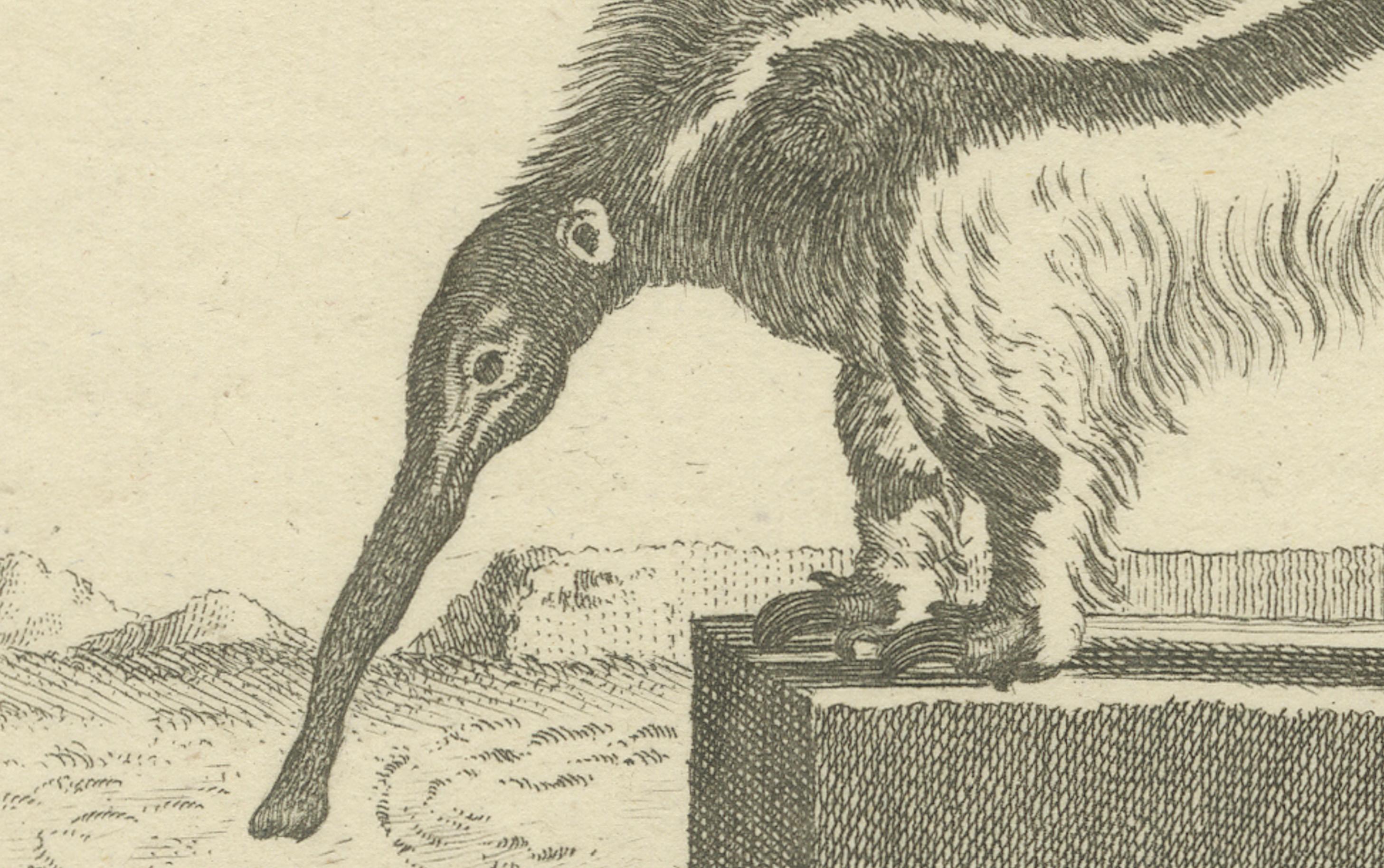 Fourmilier géant - Gravure zoologique ancienne de De Sève & Leitner, vers 1800 Bon état - En vente à Langweer, NL
