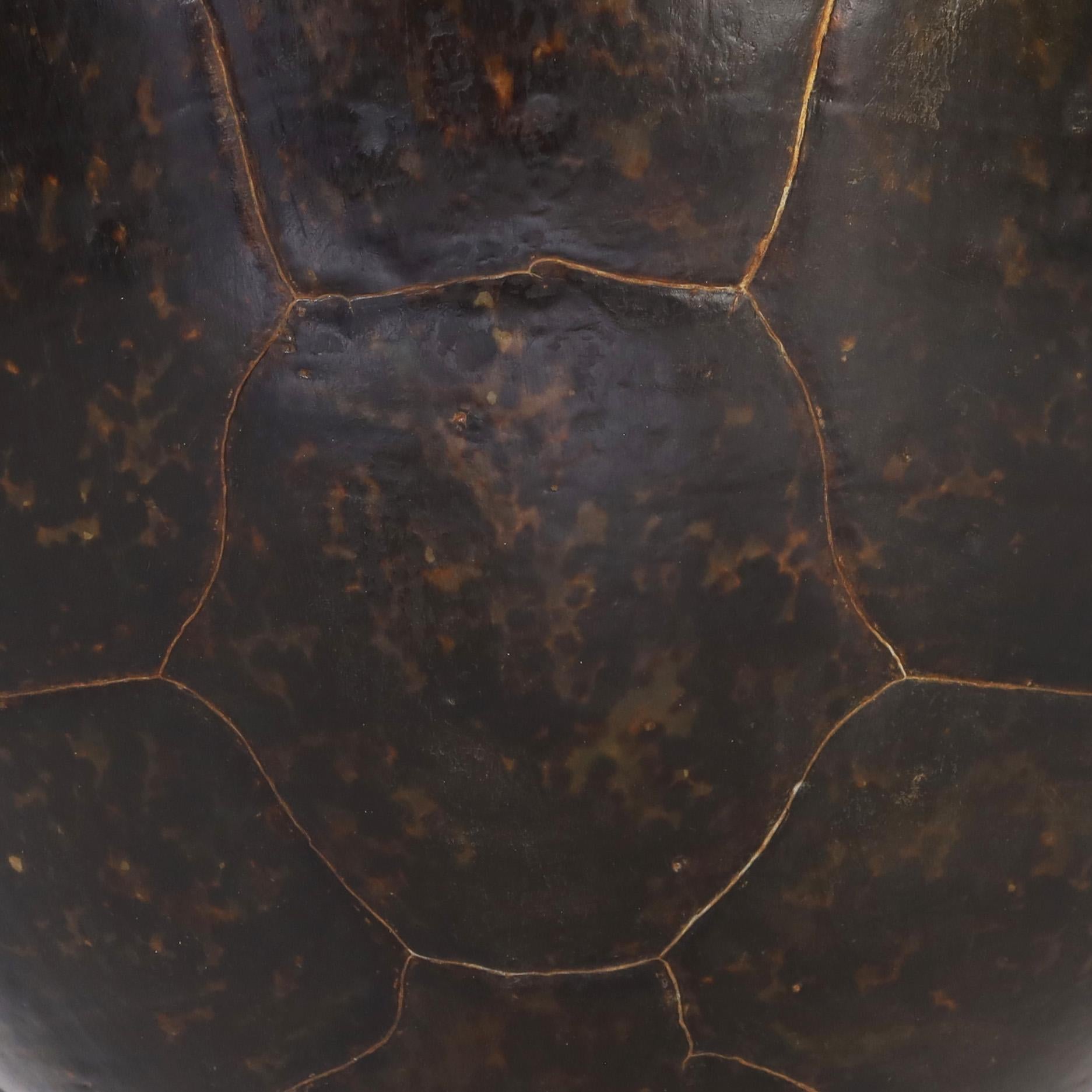 Lucidato Guscio di tartaruga marina gigante antico o carapace