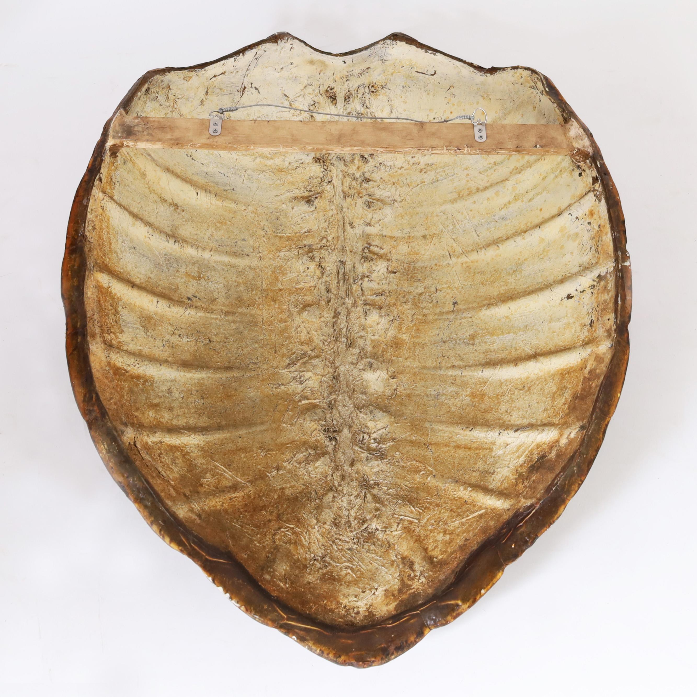 Guscio di tartaruga marina gigante antico o carapace In condizioni buone a Palm Beach, FL