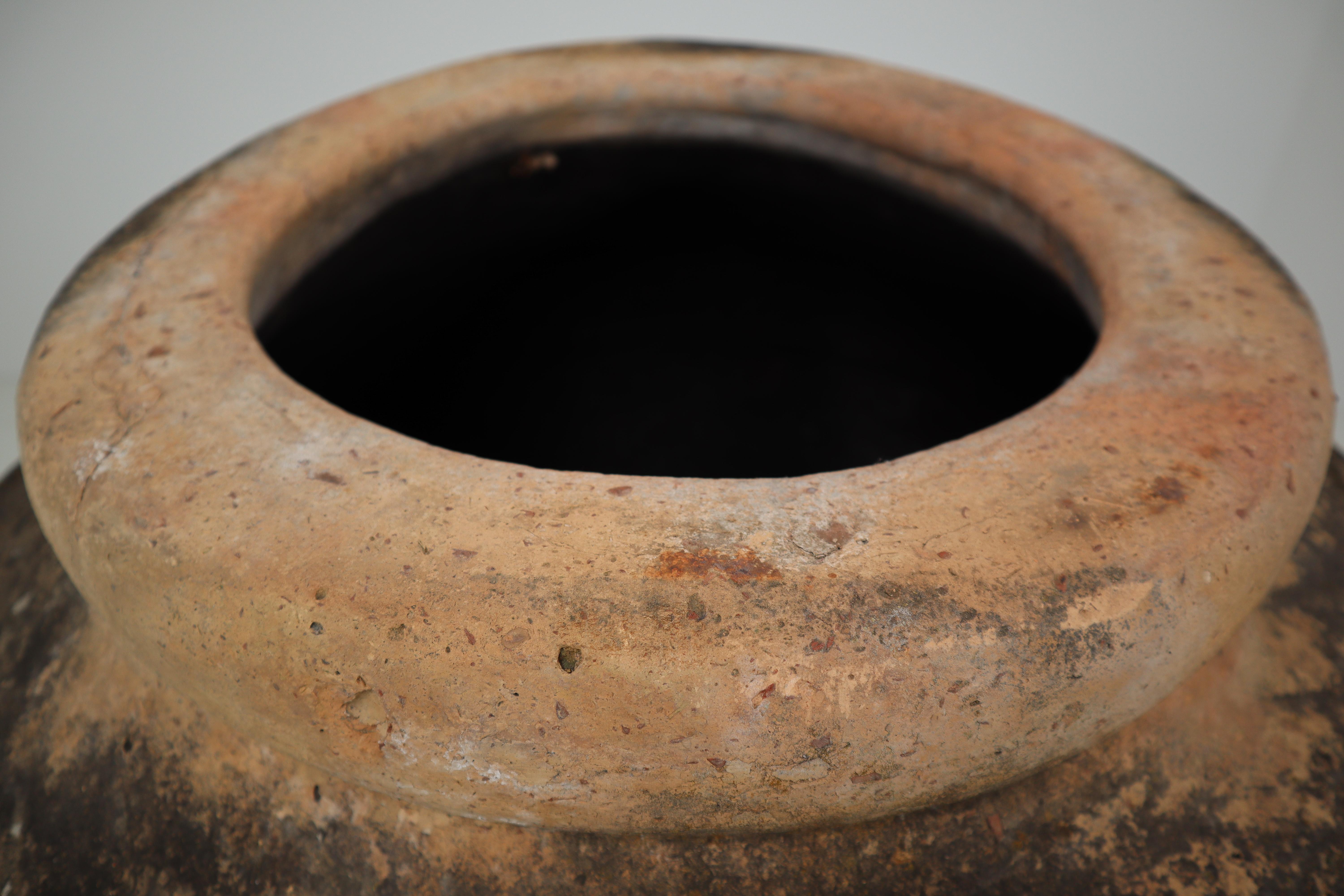 Giant Antique Terracotta Ribbed Olive Jar with Dark Lichen Patination, France 4