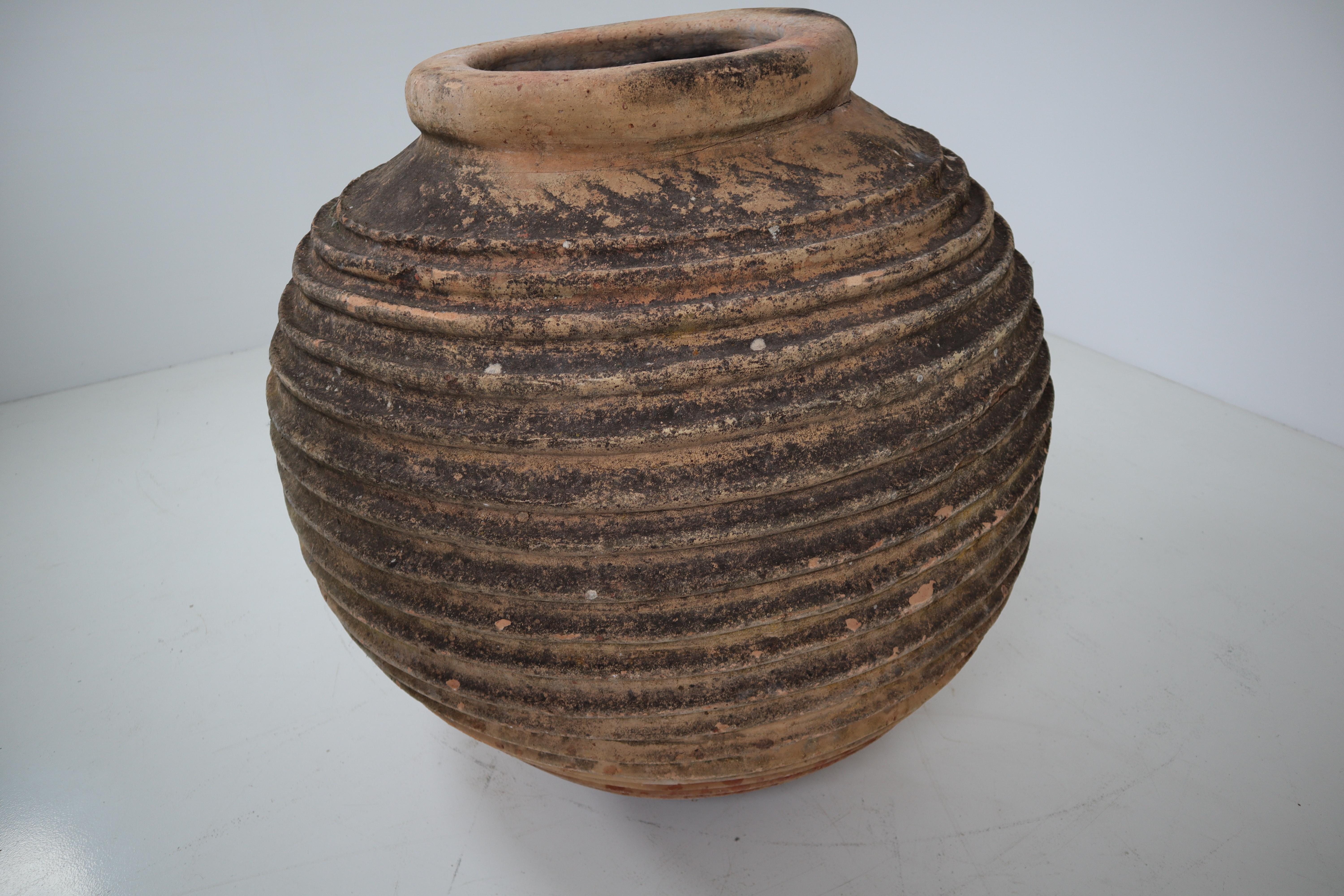 Giant Antique Terracotta Ribbed Olive Jar with Dark Lichen Patination, France 6