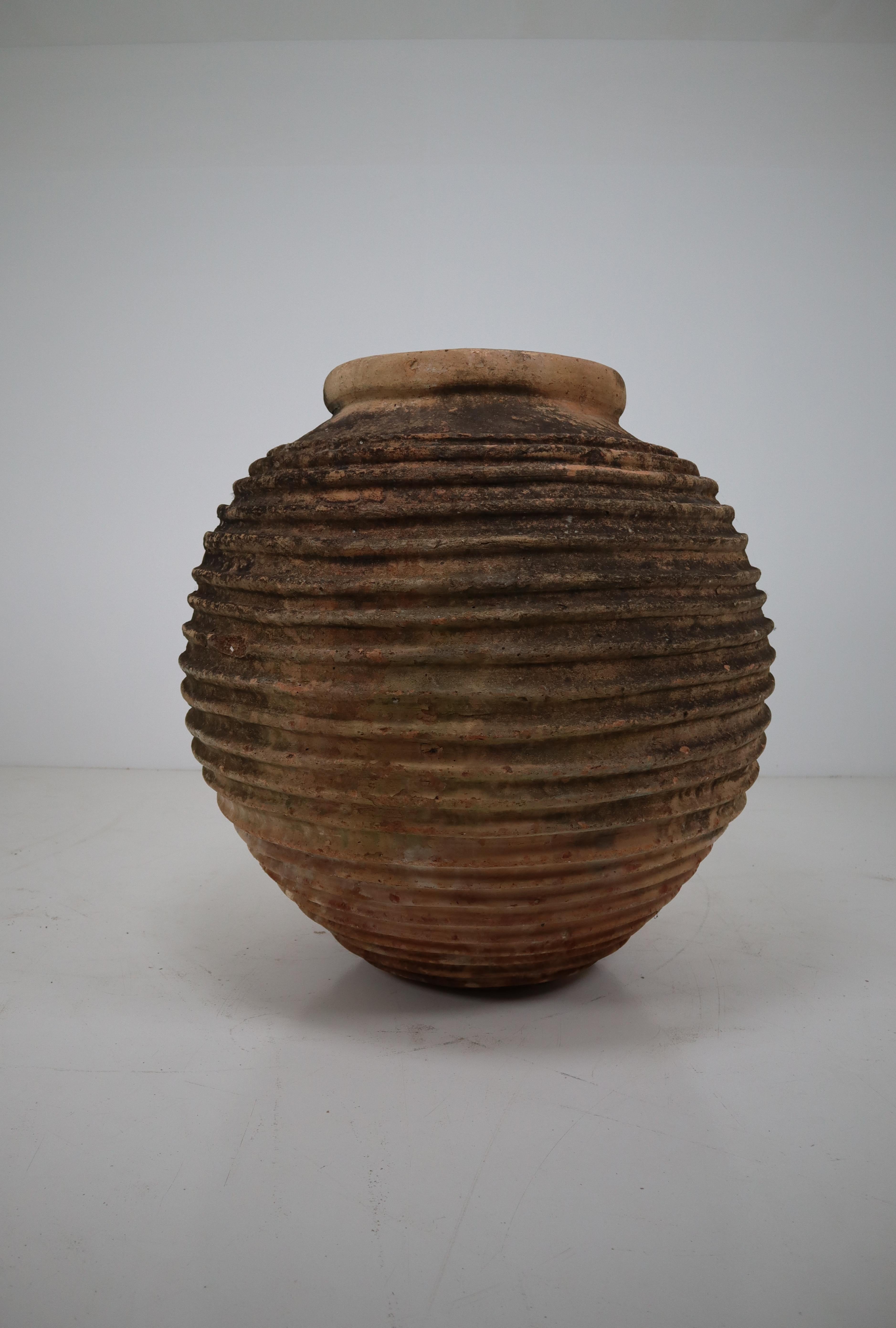 Greek Giant Antique Terracotta Ribbed Olive Jar with Dark Lichen Patination, France