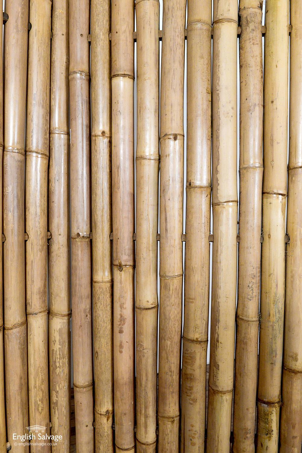 Giant Bamboo Panel / Screen / Fence, 20th Century For Sale 1