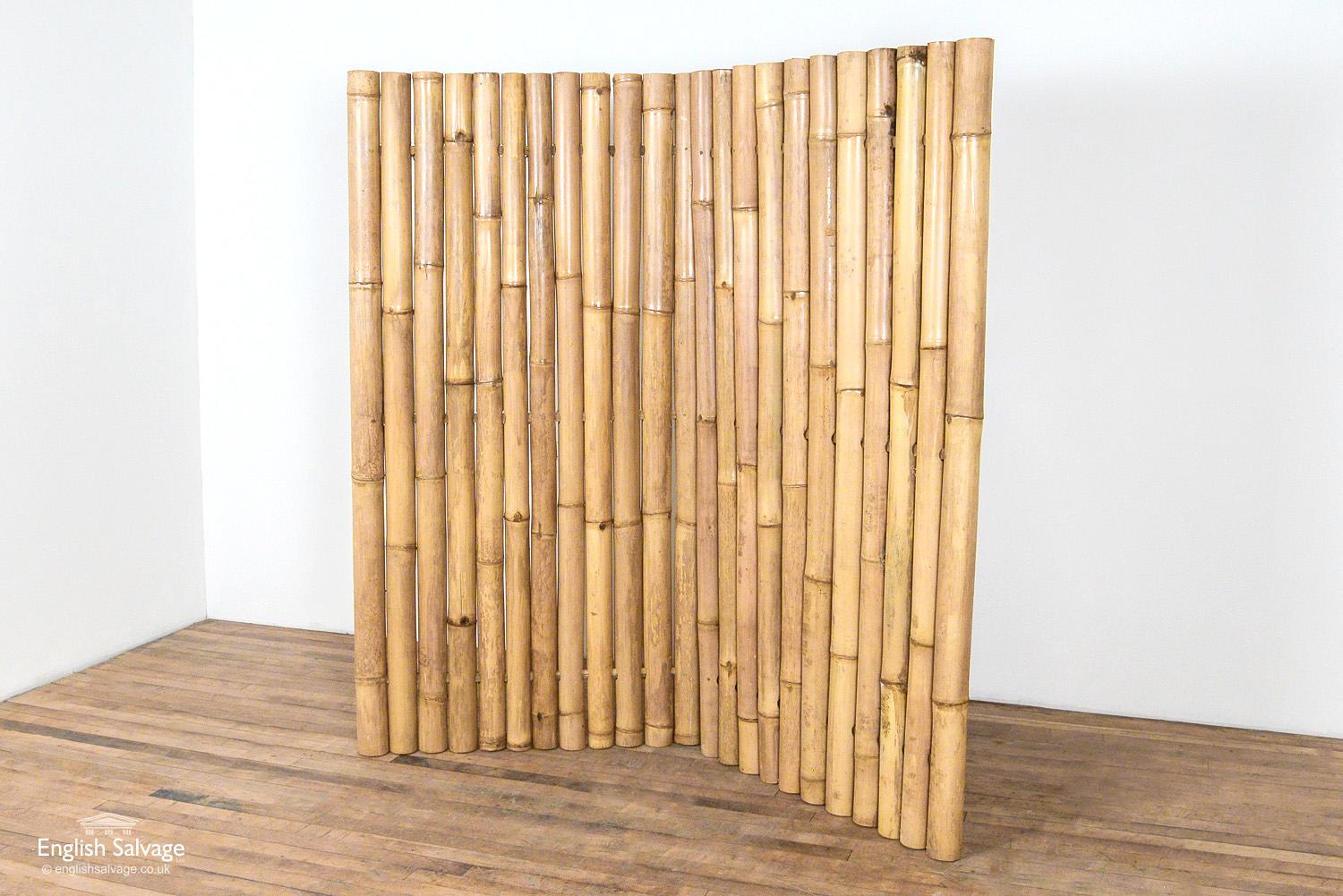 Giant Bamboo Panel / Screen / Fence, 20th Century For Sale 2
