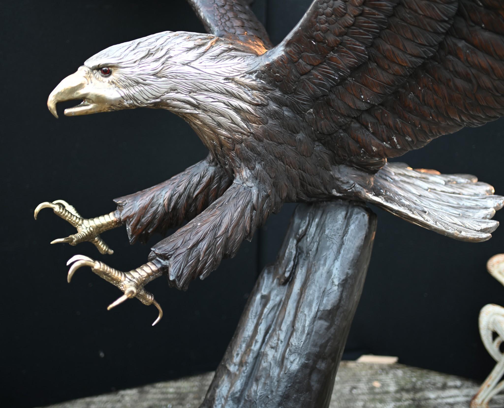 Splendida fusione in bronzo della classica aquila americana o calva.
Quasi sette piedi di altezza - 208 CM - quindi un pezzo enorme a grandezza naturale.
L'uccello viene mostrato in procinto di atterrare con le ali in modo drammatico
Un'opera d'arte