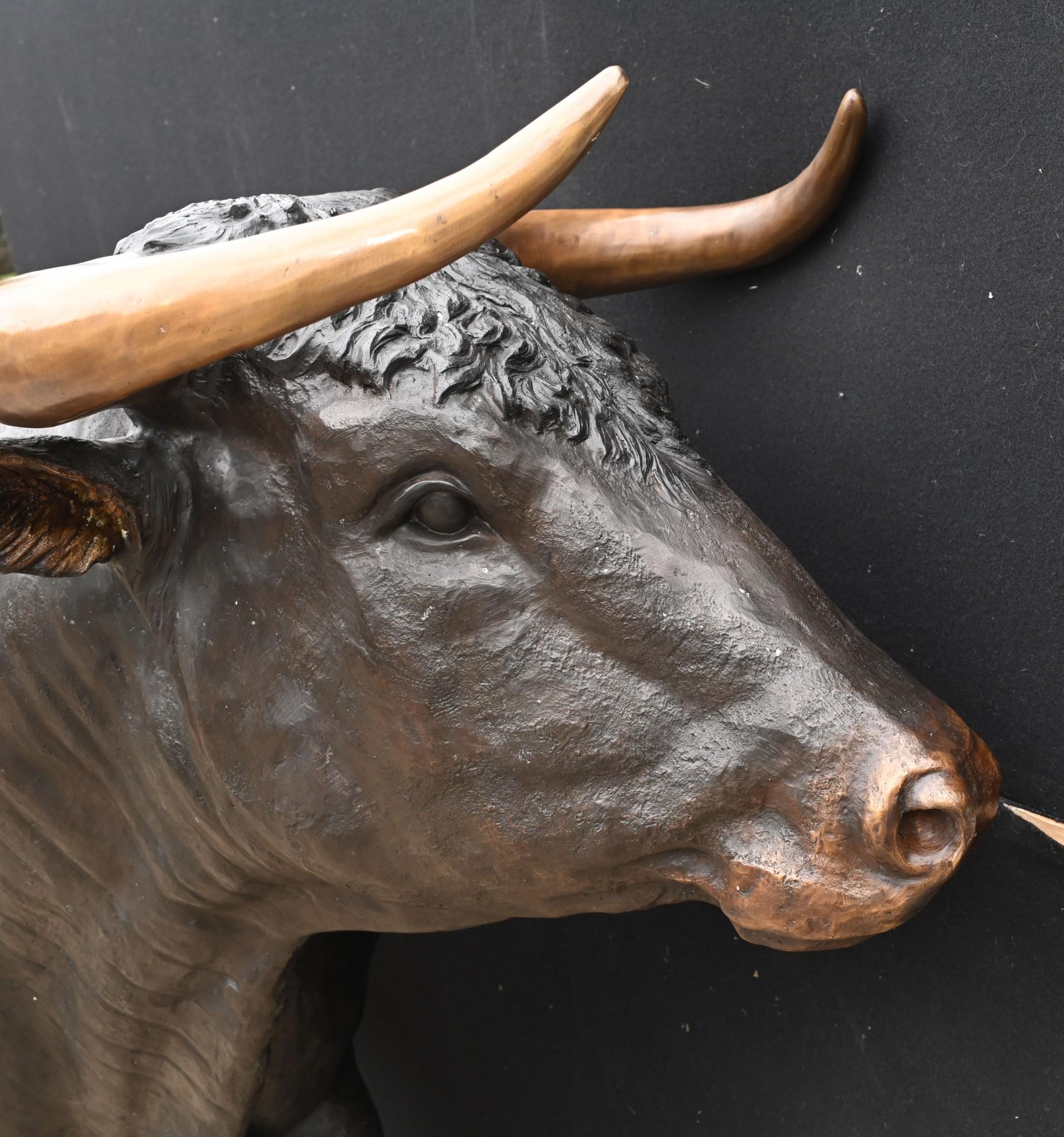 Stunning bronze casting of a bronze bull.
Absolutely humungous - over 8 feet ( 248 cm ) - head to toe
Of course being bronze this can live outside with no fear of rusting
Great patina to the bronze 
The artist has really captured the beauty of