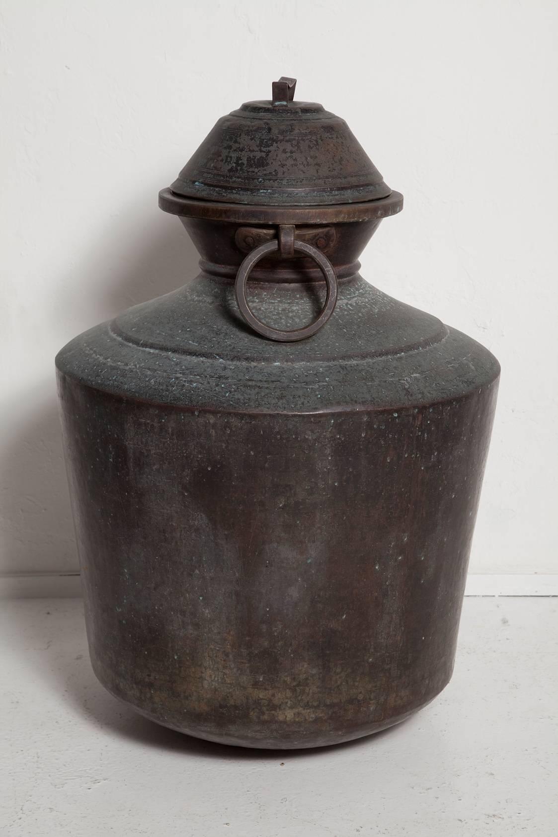 Giant Anglo-Indian style bronze lidded urn with two cast bronze handles, late 19th to mid-20th century, with gorgeous patina.