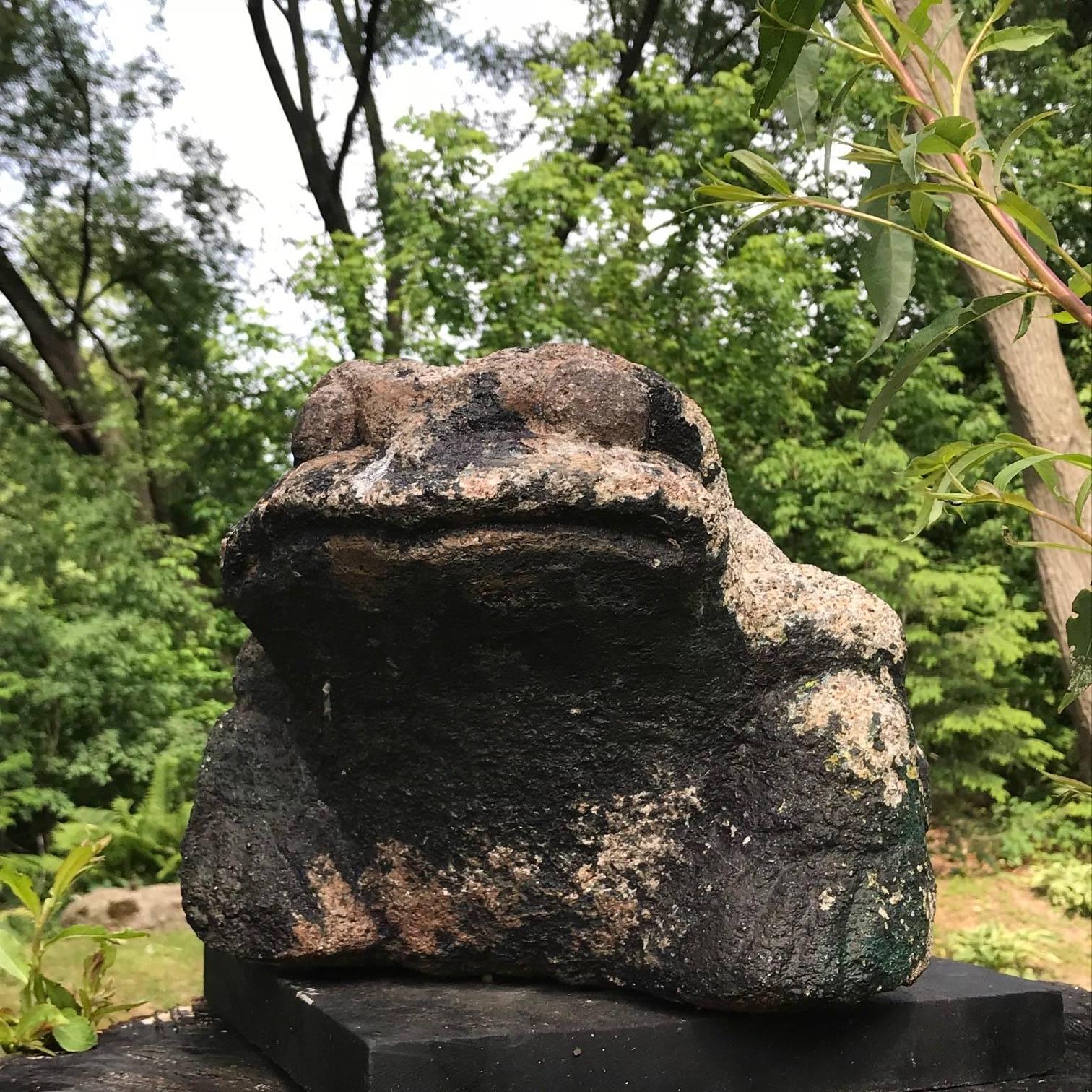 Hand-Carved Giant Burly Japanese Antique Stone Frog Found In Vermont Tree, 17