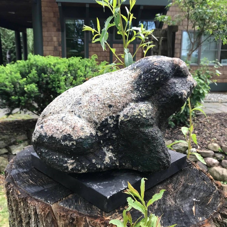 Giant Burly Japanese Antique Stone Frog Found In Vermont Tree, 17" Long