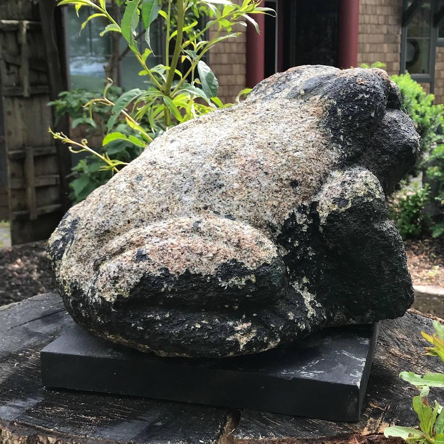 Taisho Giant Burly Japanese Antique Stone Frog Found In Vermont Tree, 17