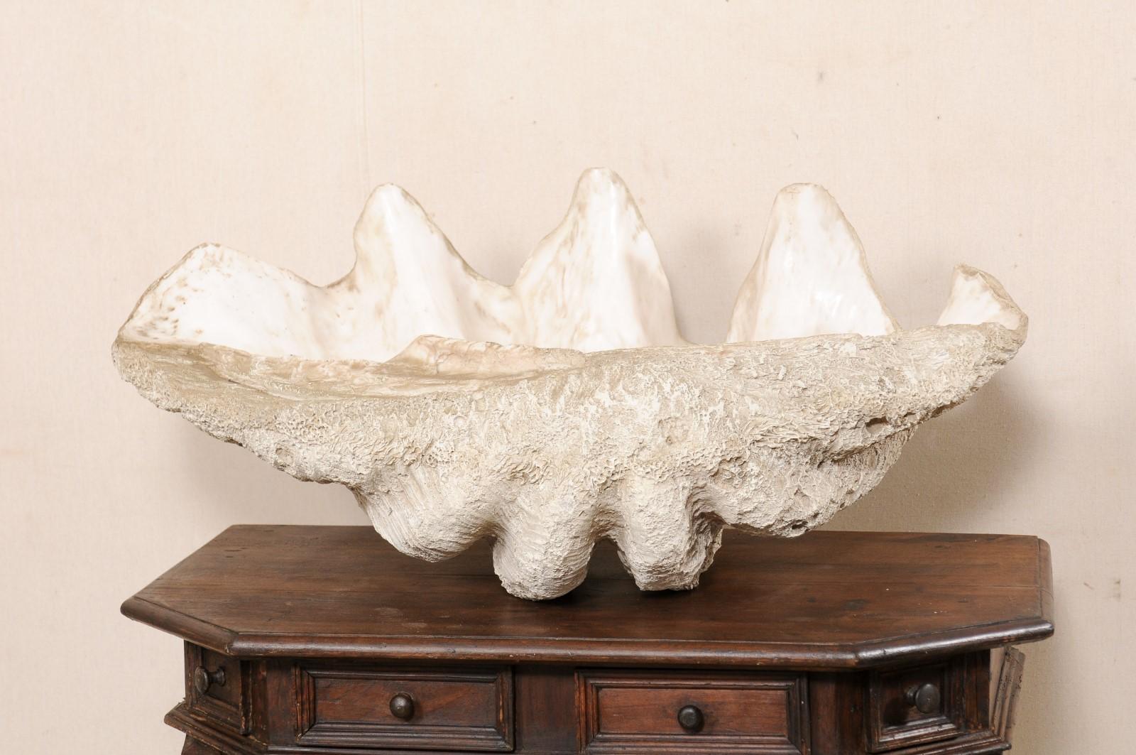 Giant Clam Shell 'Faux' Fabulously Artisan Crafted-Looks like the Real Thing For Sale 3