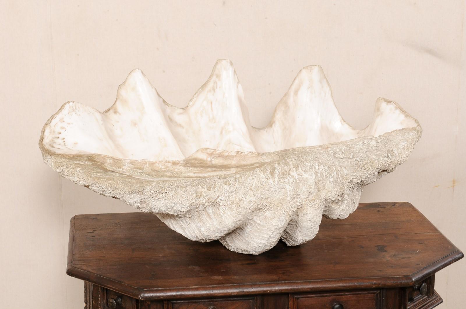 Giant Clam Shell 'Faux' Fabulously Artisan Crafted-Looks like the Real Thing In Good Condition For Sale In Atlanta, GA
