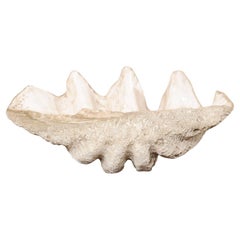 Vintage Giant Clam Shell 'Faux' Fabulously Artisan Crafted-Looks like the Real Thing