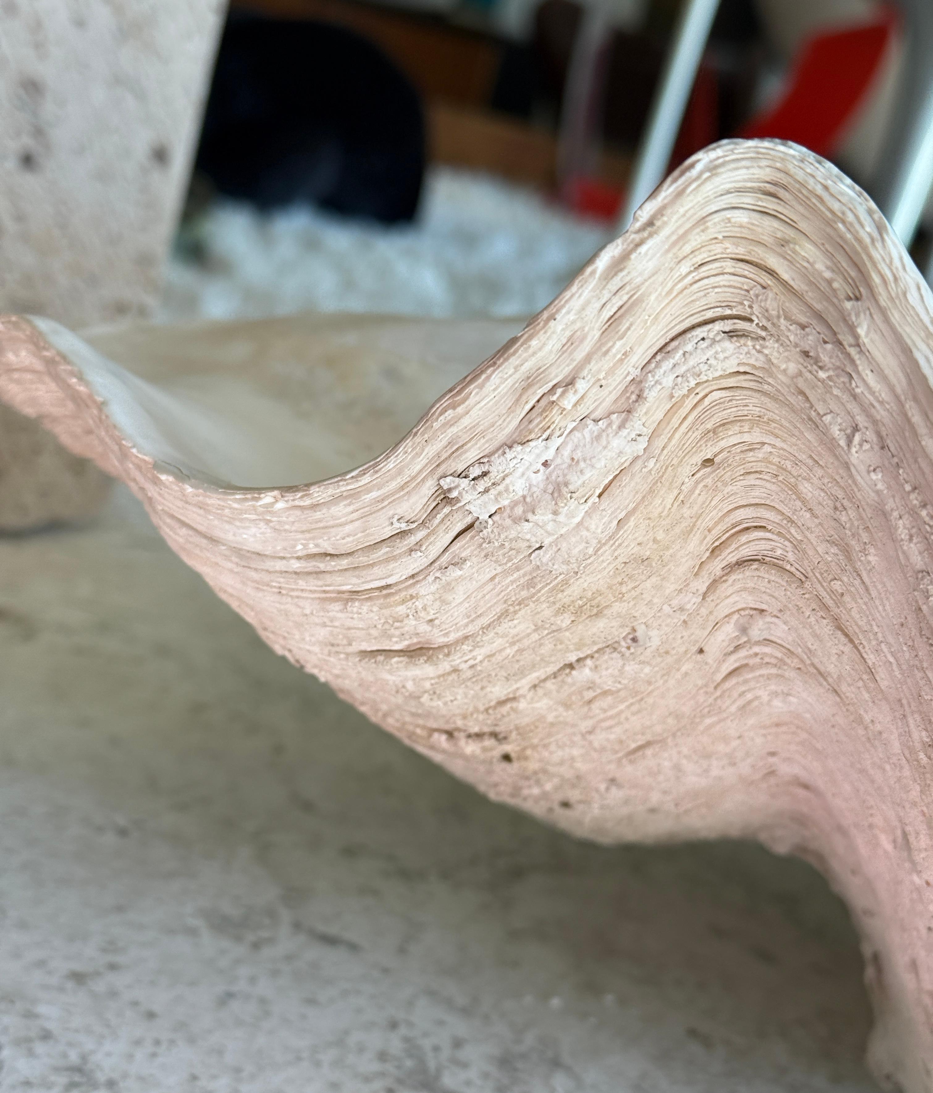 Giant Clam Shell with Glass Beads For Sale 1