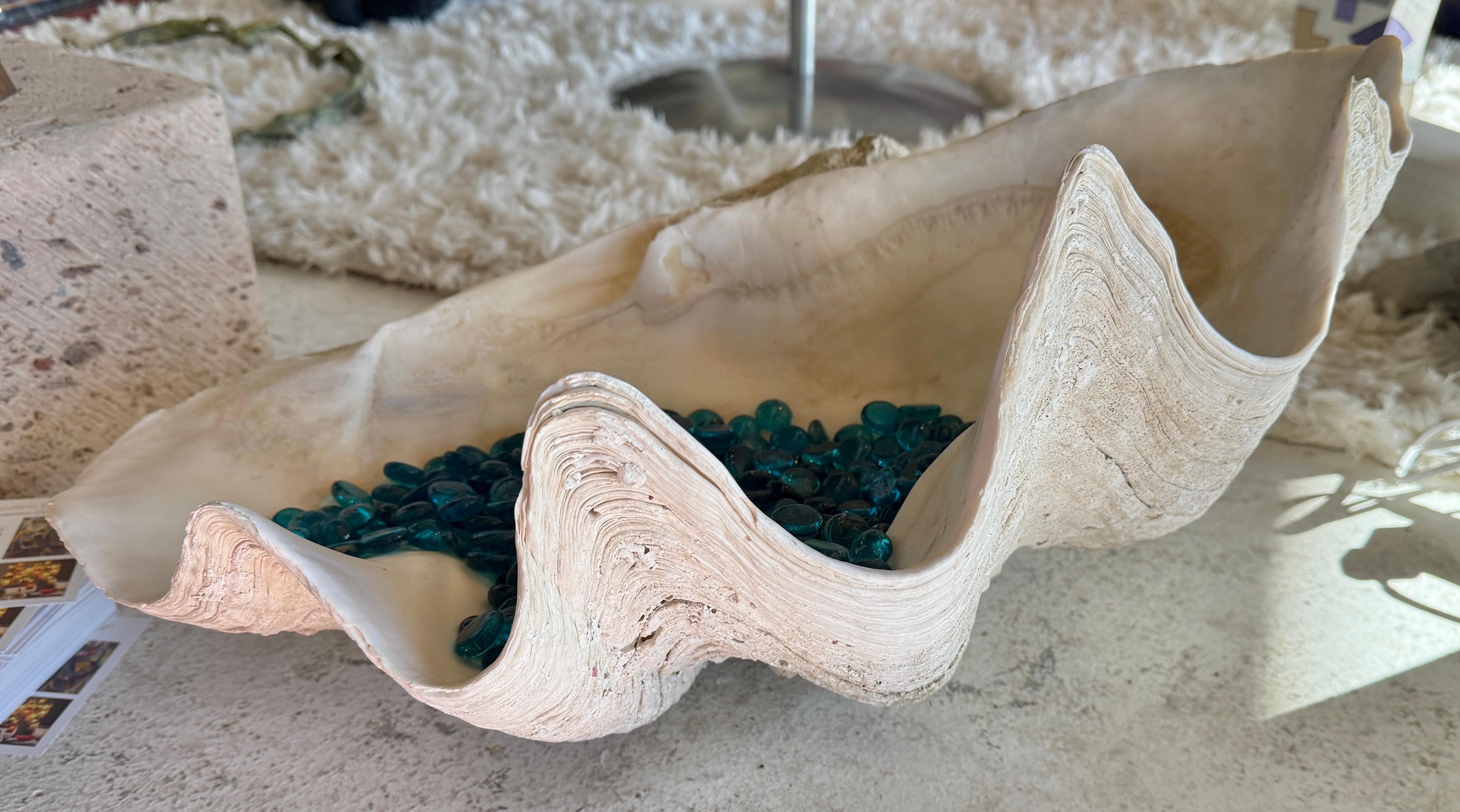 Giant Clam Shell with Glass Beads For Sale 3