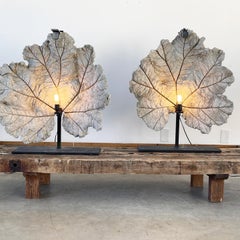 Giant Concrete Leaf Lamps