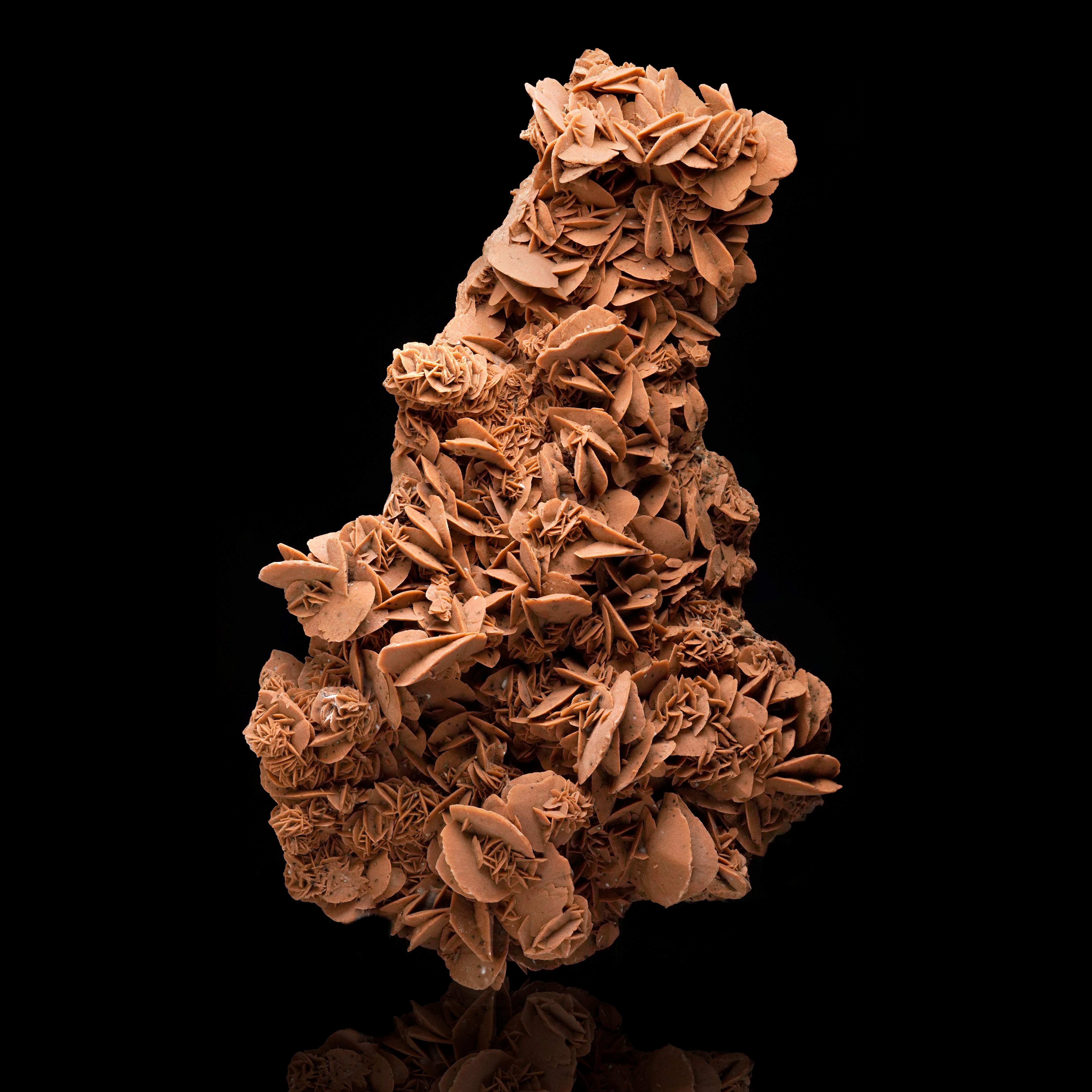 This sculptural statement piece is one gigantic, excellent quality specimen of Mexican desert rose selenite: a variety of gypsum. Out of Naica near the famous Cave of Crystals, the matte, grainy texture and beige color of this piece come from sand