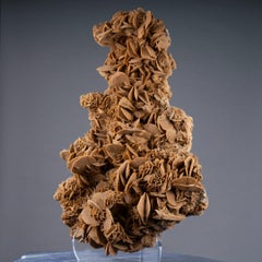 Giant Desert Rose Selenite Sculpture, Crystal, Museum Quality, Mexico