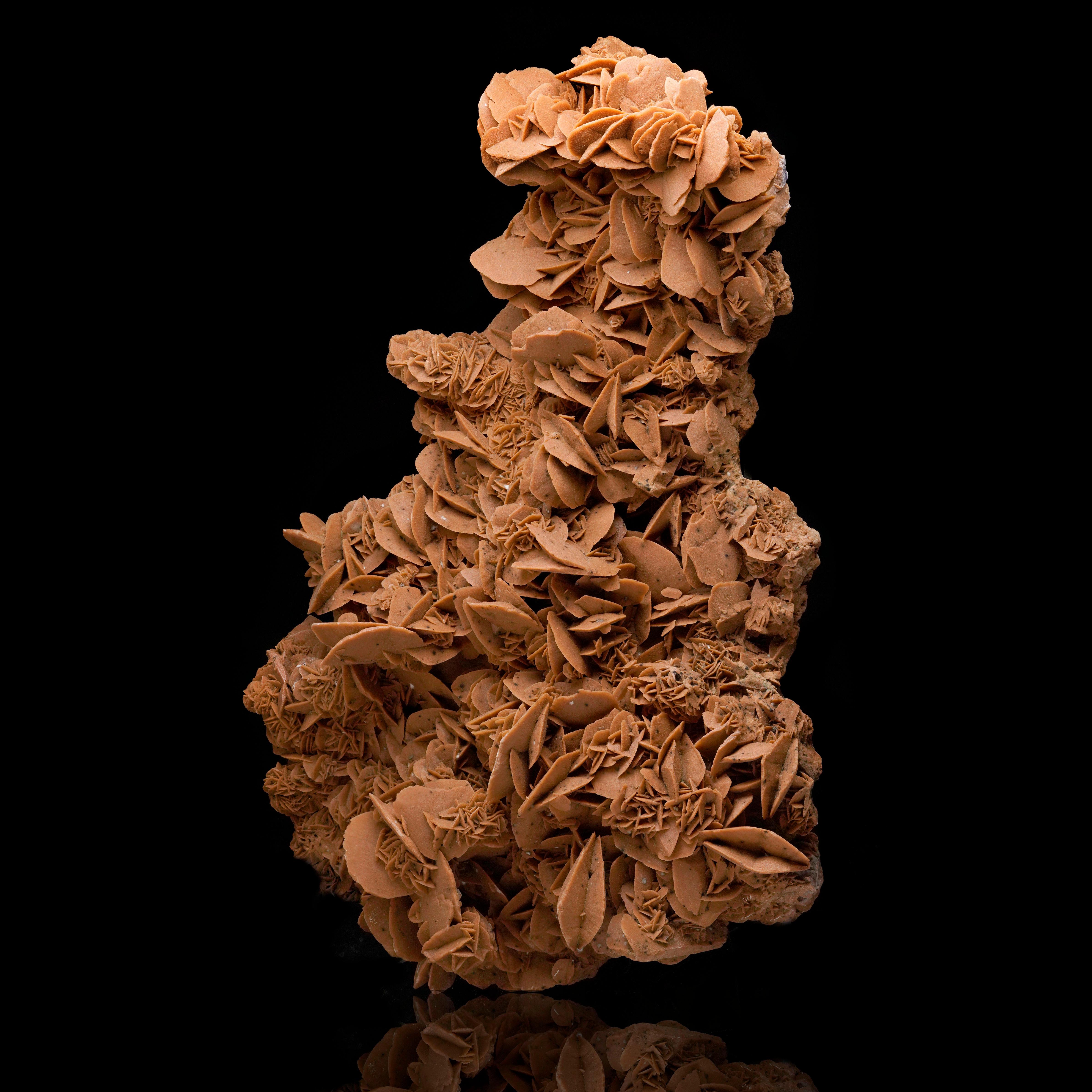 Mexican Giant Desert Rose Selenite For Sale