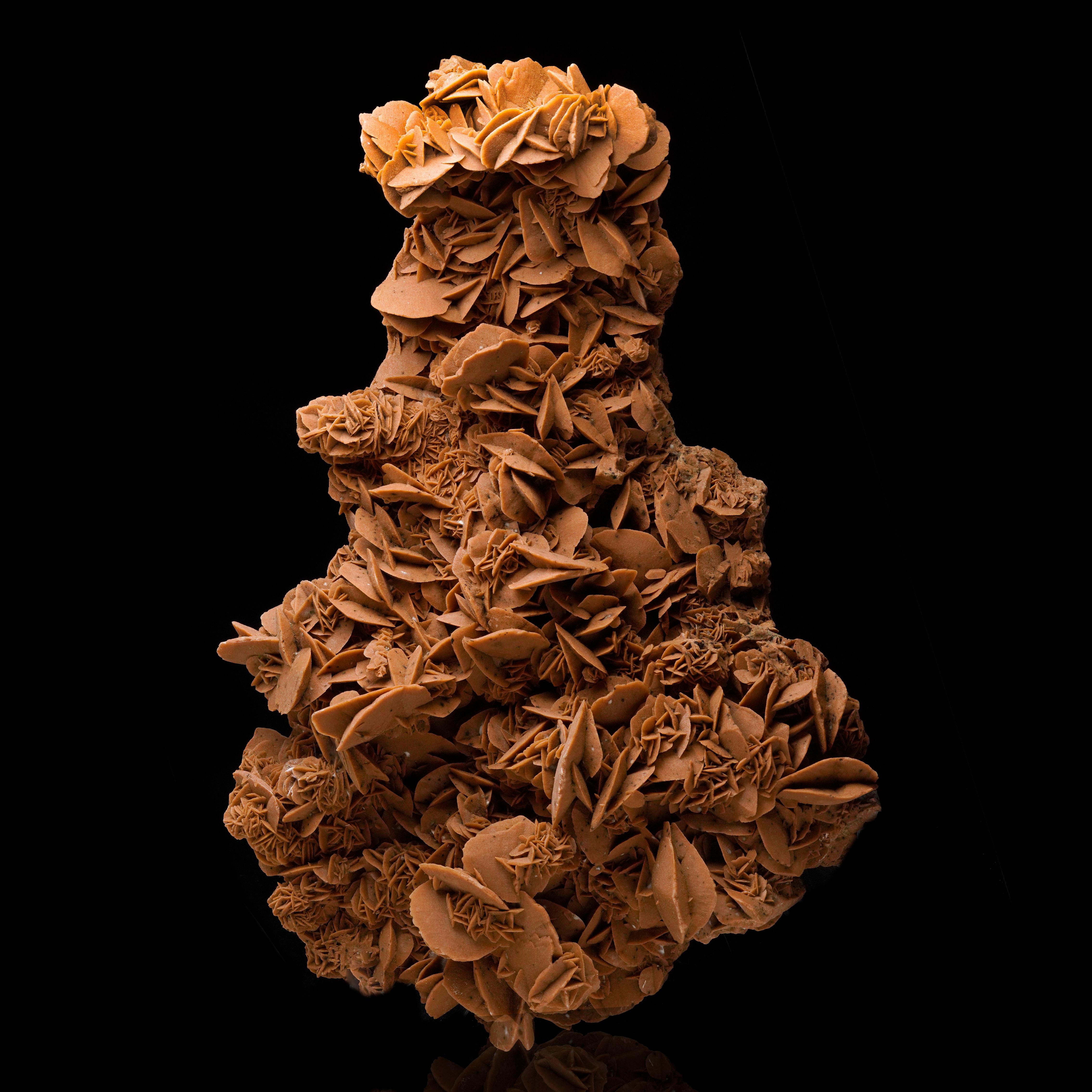 Giant Desert Rose Selenite In New Condition For Sale In New York, NY