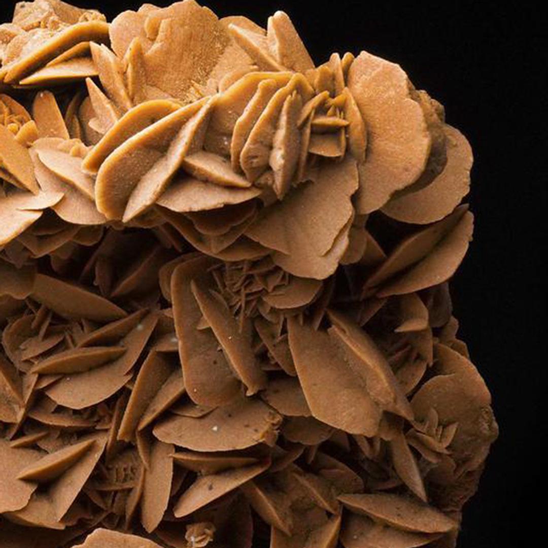 XXI secolo e contemporaneo Selenite gigante del deserto in vendita