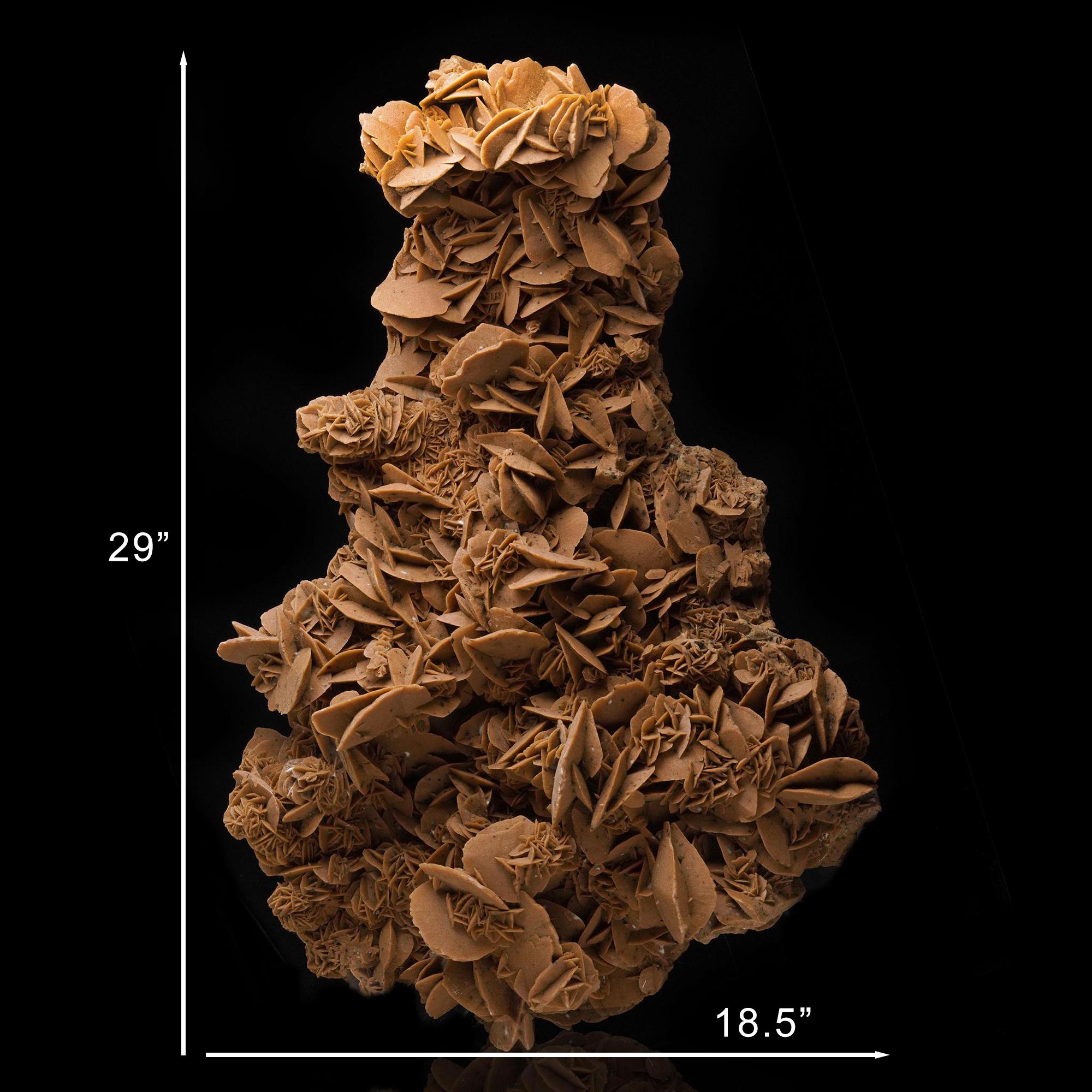 Selenite gigante del deserto in vendita 1