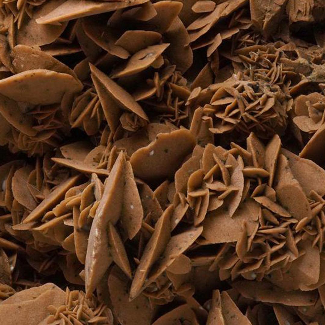 Selenite gigante del deserto in vendita 2