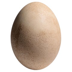 Antique Giant Egg of the Extinct 'Elephant Bird'