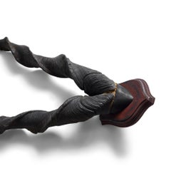 Giant Markhor Horns from Africa