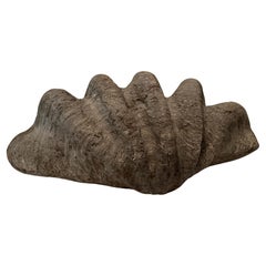 Centro de mesa gigante de concha de imitación