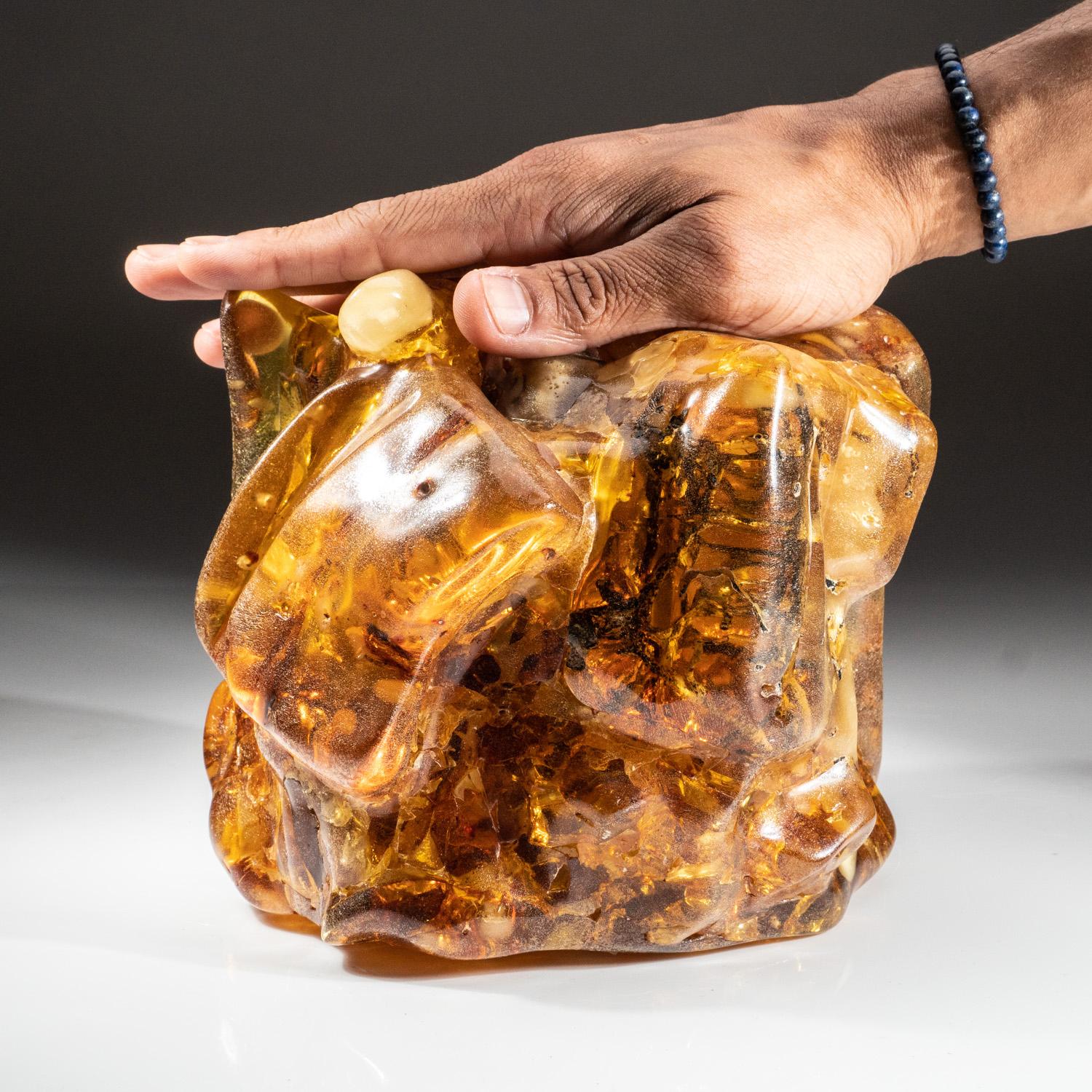This specimen is a large, museum quality piece of Colombian Copal. It is some of the highest quality Copal in the world. Copal is geologically younger than Amber. Copal is known for containing excellent insect specimens, as seen in this giant