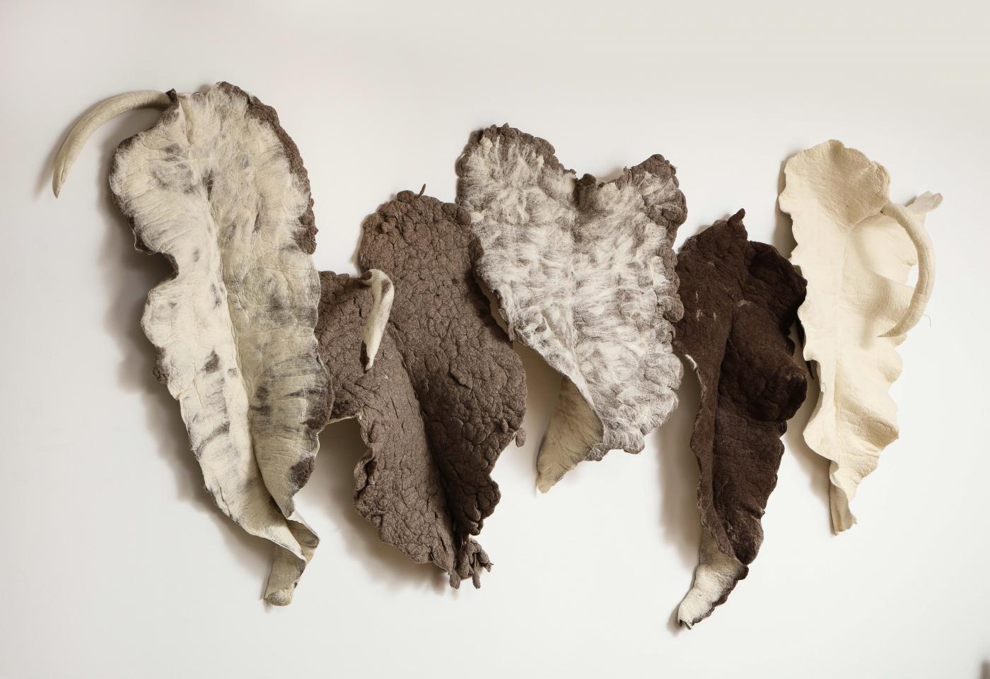 Brazilian Giant Leaf, Naturally Dyed Felted Wool Sculpture by Inês Schertel, Brazil, 2019 For Sale