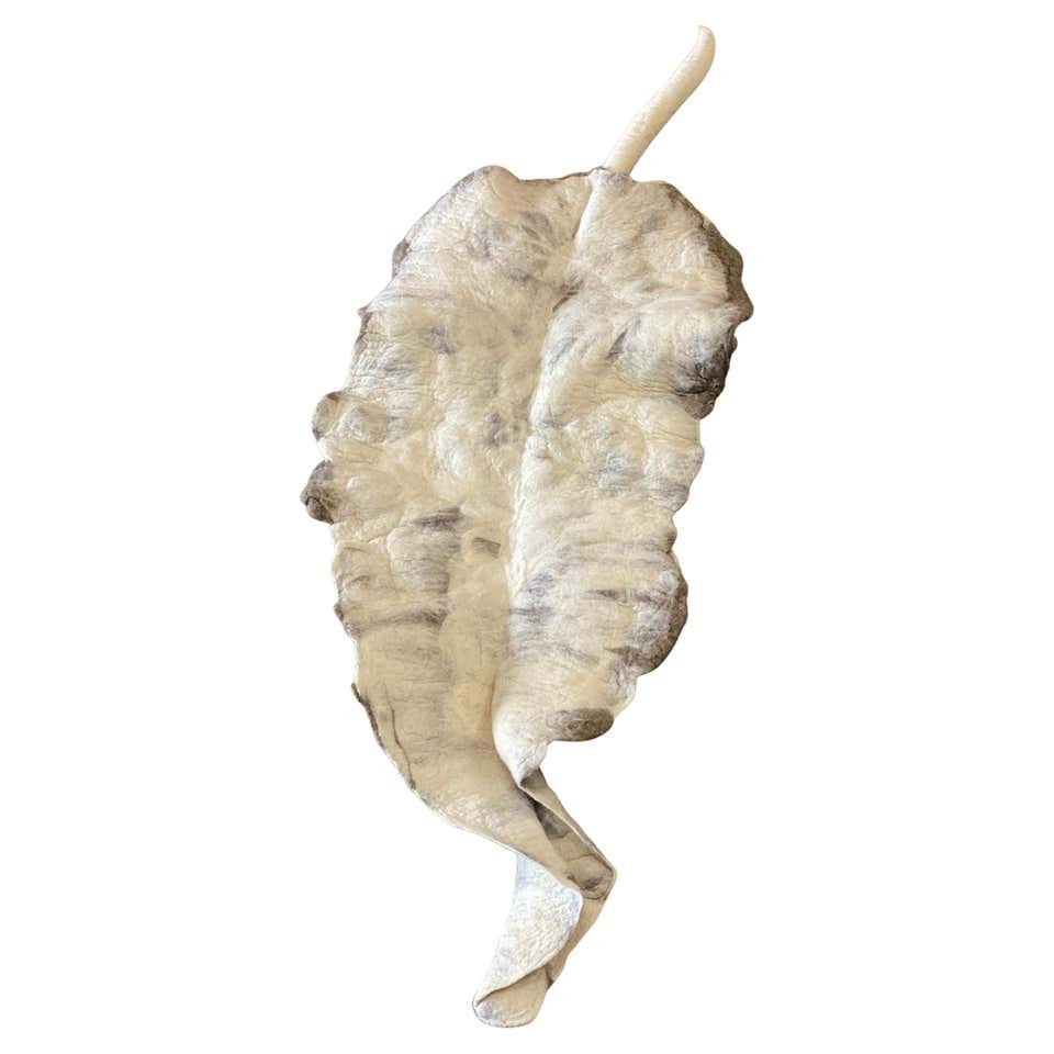 Giant Turtle Shell or Carapace at 1stDibs | green sea turtle shell for ...