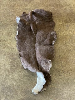 Giant Leaf, Naturally Dyed Felted Wool Sculpture by Inês Schertel, Brazil, 2019