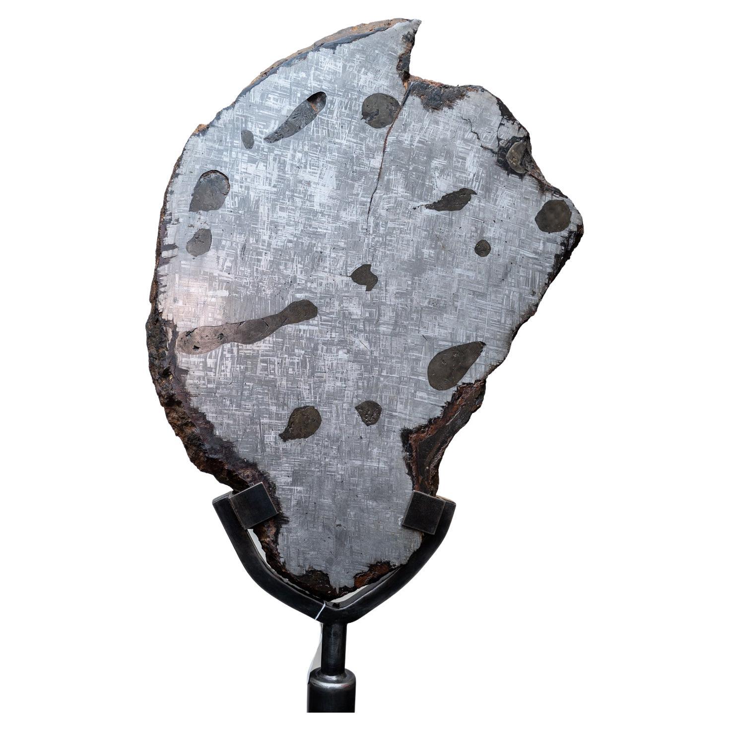 Dieser gigantische Meteorit ist wirklich ein Stück in Museumsqualität. Es handelt sich um einen völlig massiven, natürlichen Muonionalusta-Meteoriten, der in Scheiben geschnitten und poliert wurde und sein schönes, metallisches Widmanstätten-Muster