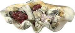 Giant Natural Clam Shell Filled with Assorted Sea Life Specimens    #3