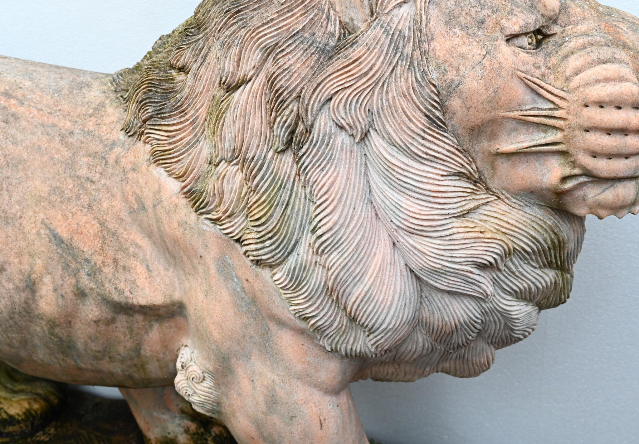 Statua di leone gigante in marmo rosa Gatto mediceo a grandezza naturale in vendita 6