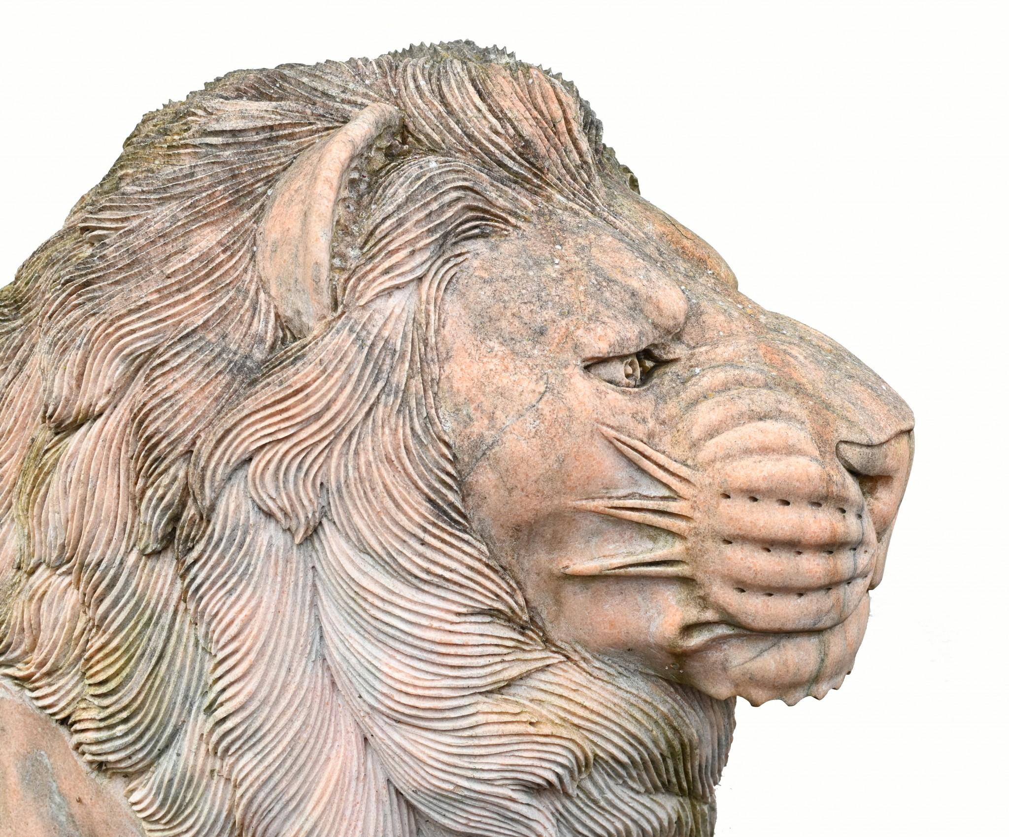 Statua di leone gigante in marmo rosa Gatto mediceo a grandezza naturale in vendita 8