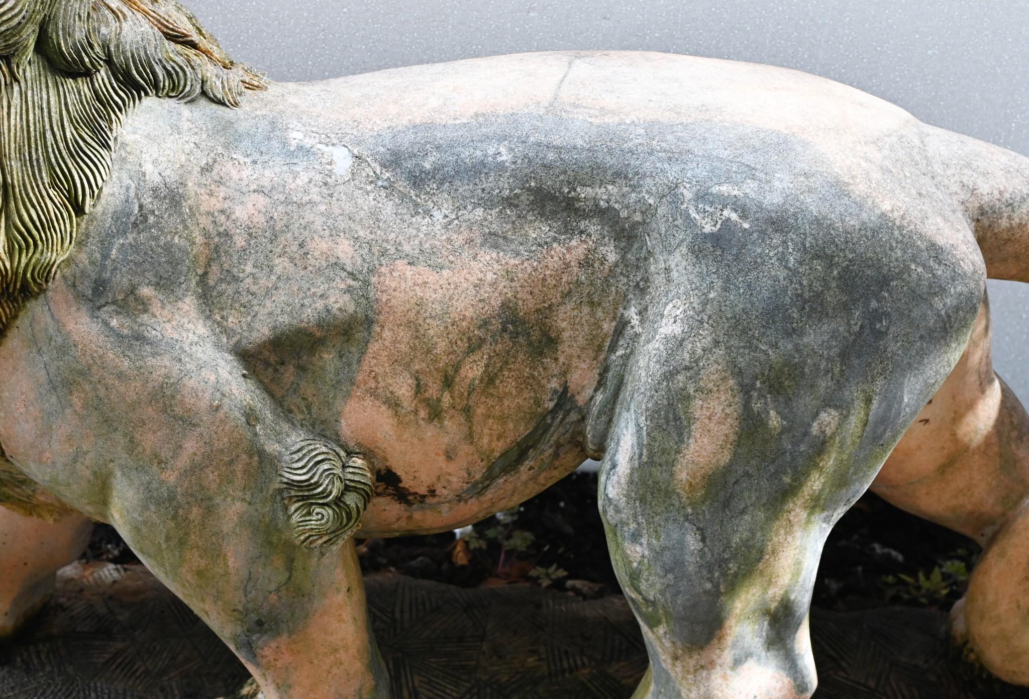 Fine XX secolo Statua di leone gigante in marmo rosa Gatto mediceo a grandezza naturale in vendita