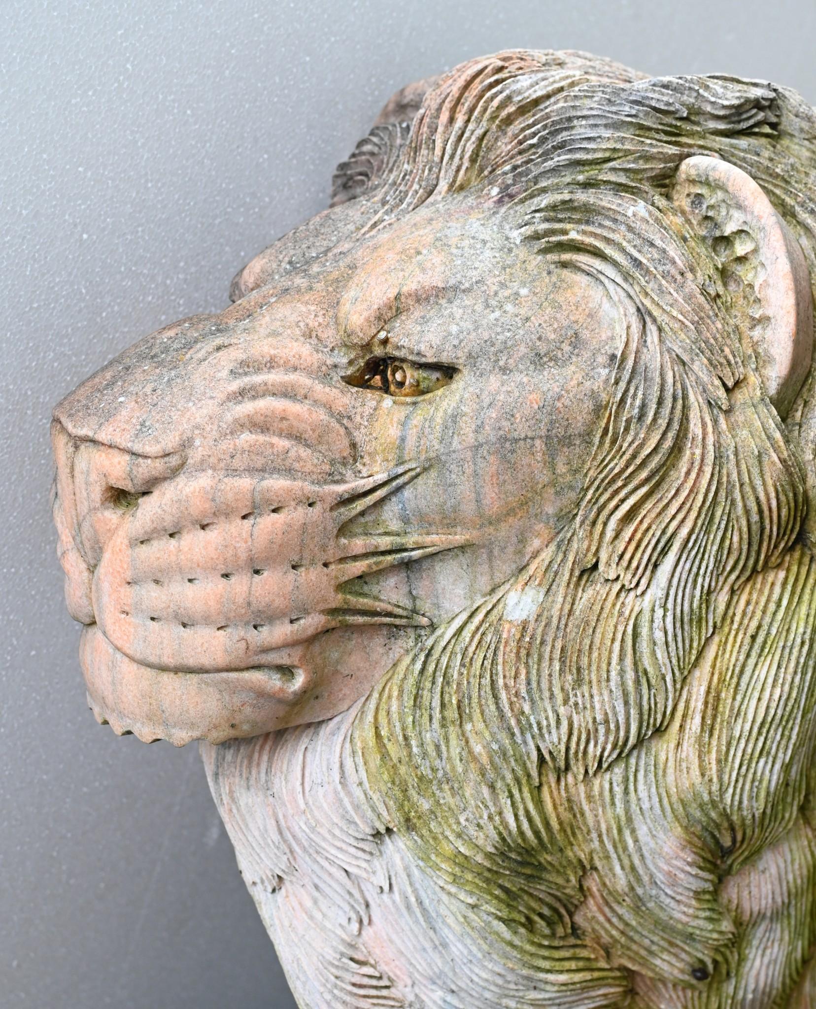 Statua di leone gigante in marmo rosa Gatto mediceo a grandezza naturale in vendita 1