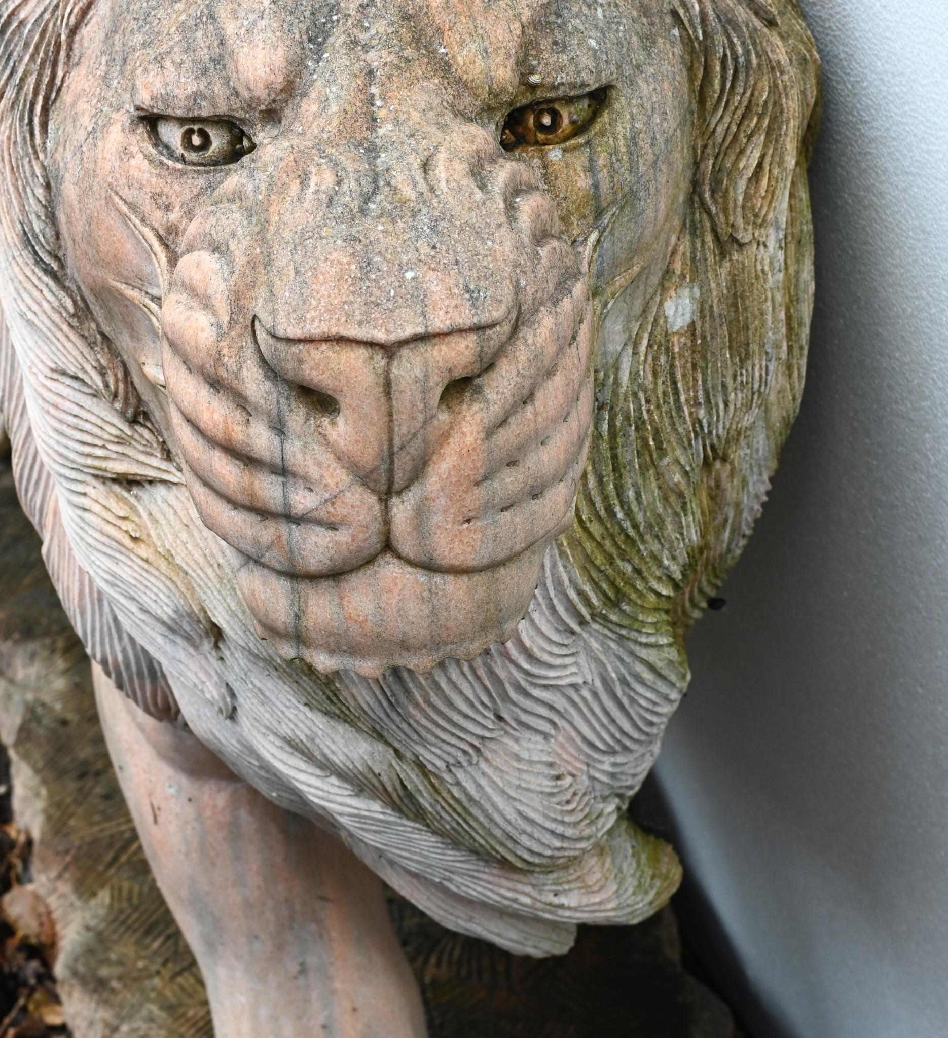 Statua di leone gigante in marmo rosa Gatto mediceo a grandezza naturale in vendita 2