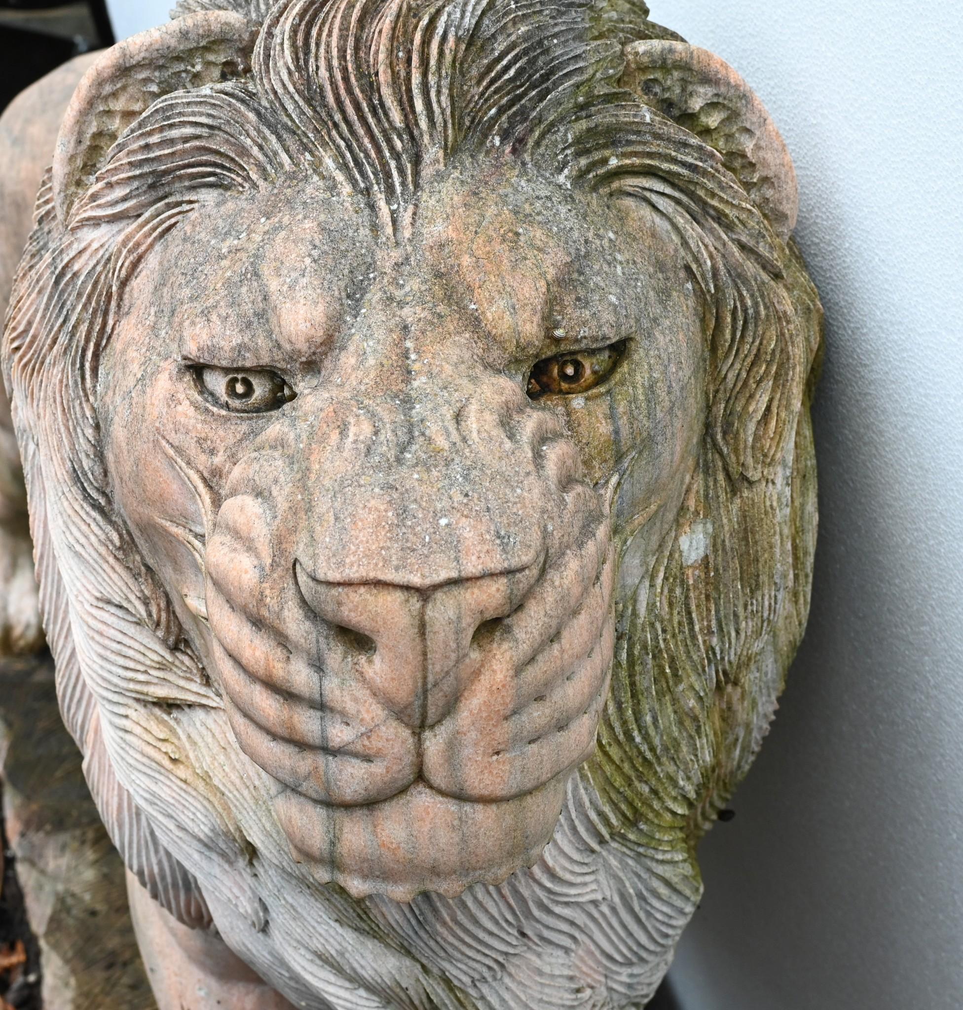 Statua di leone gigante in marmo rosa Gatto mediceo a grandezza naturale in vendita 3