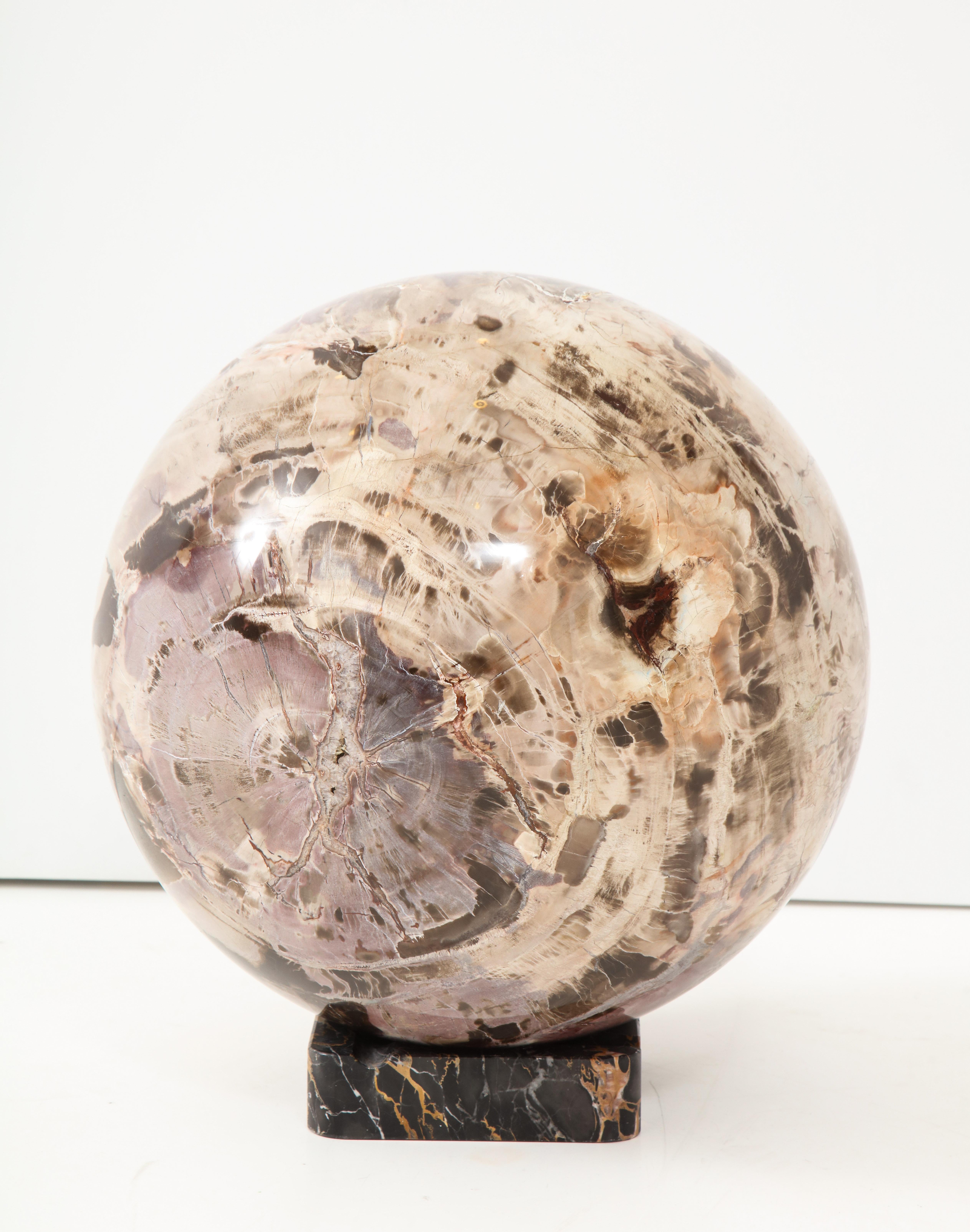 Unknown Giant Polished Petrified Wood Sphere For Sale