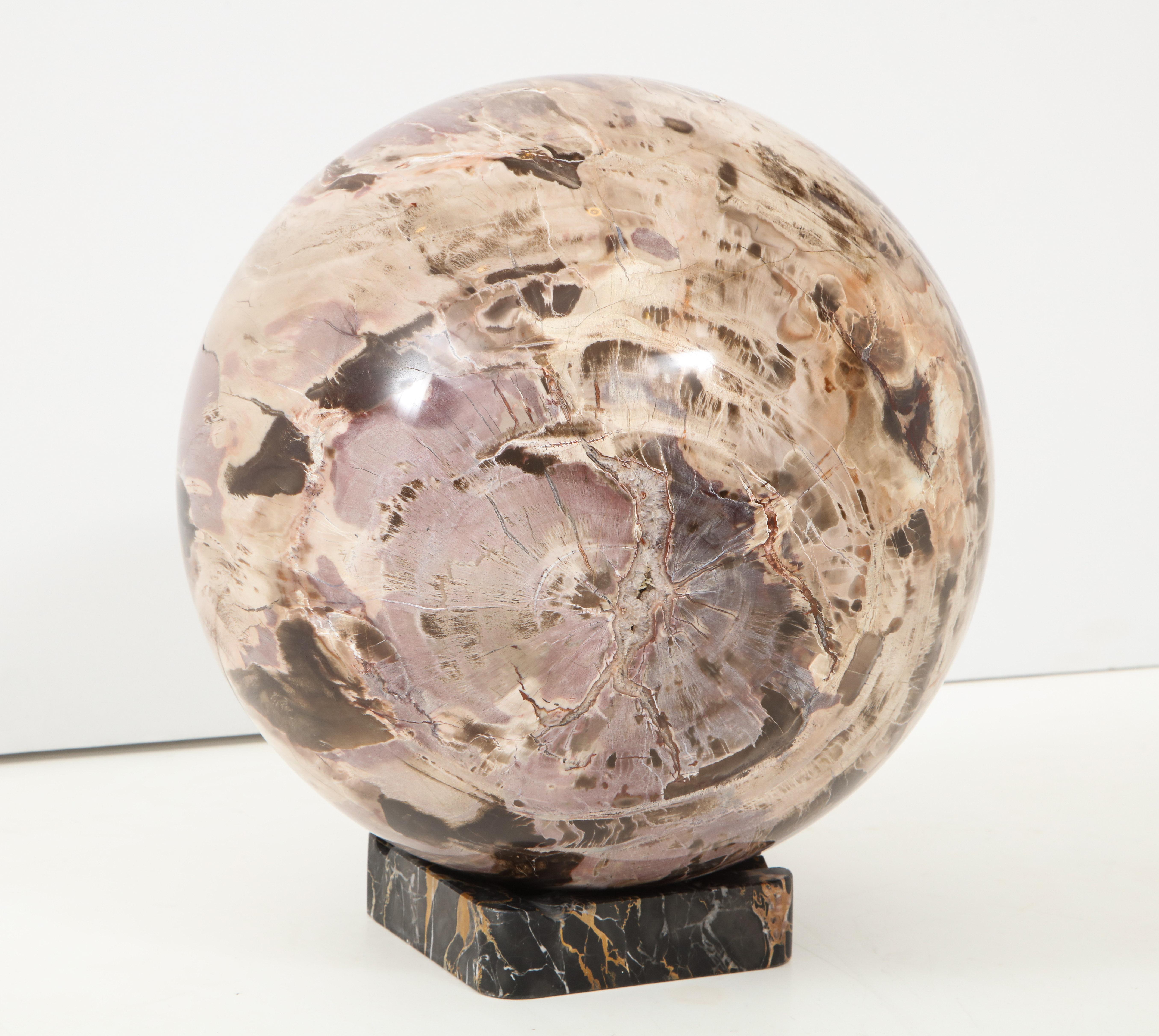 Giant Polished Petrified Wood Sphere In Good Condition For Sale In New York, NY