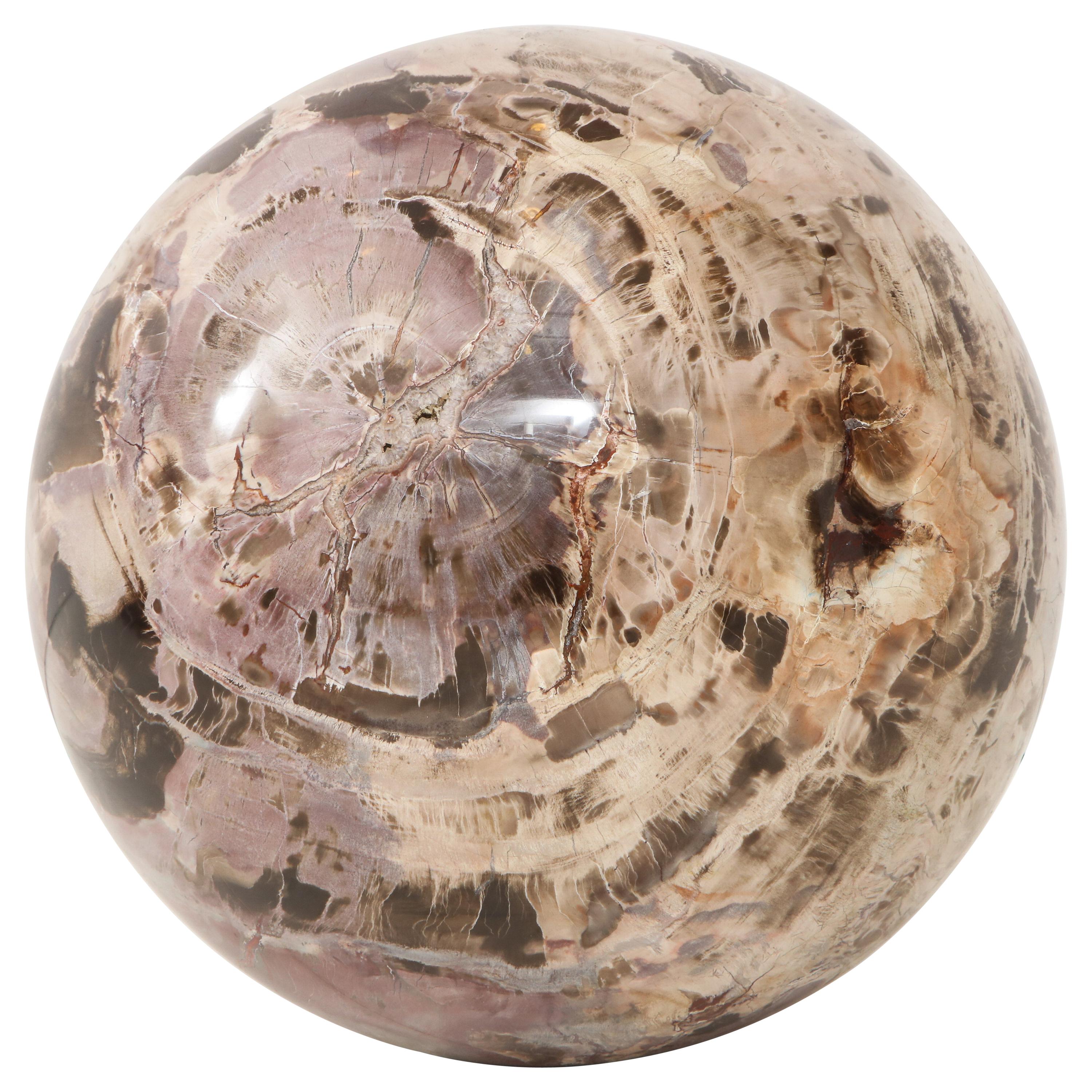 Giant Polished Petrified Wood Sphere For Sale